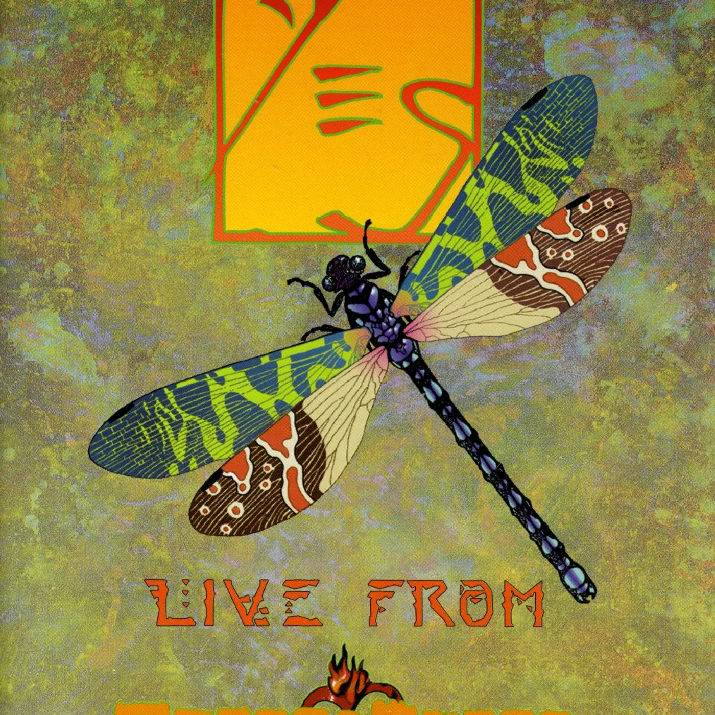 HOUSE OF YES: LIVE FROM HOUSE OF BLUES DVD
