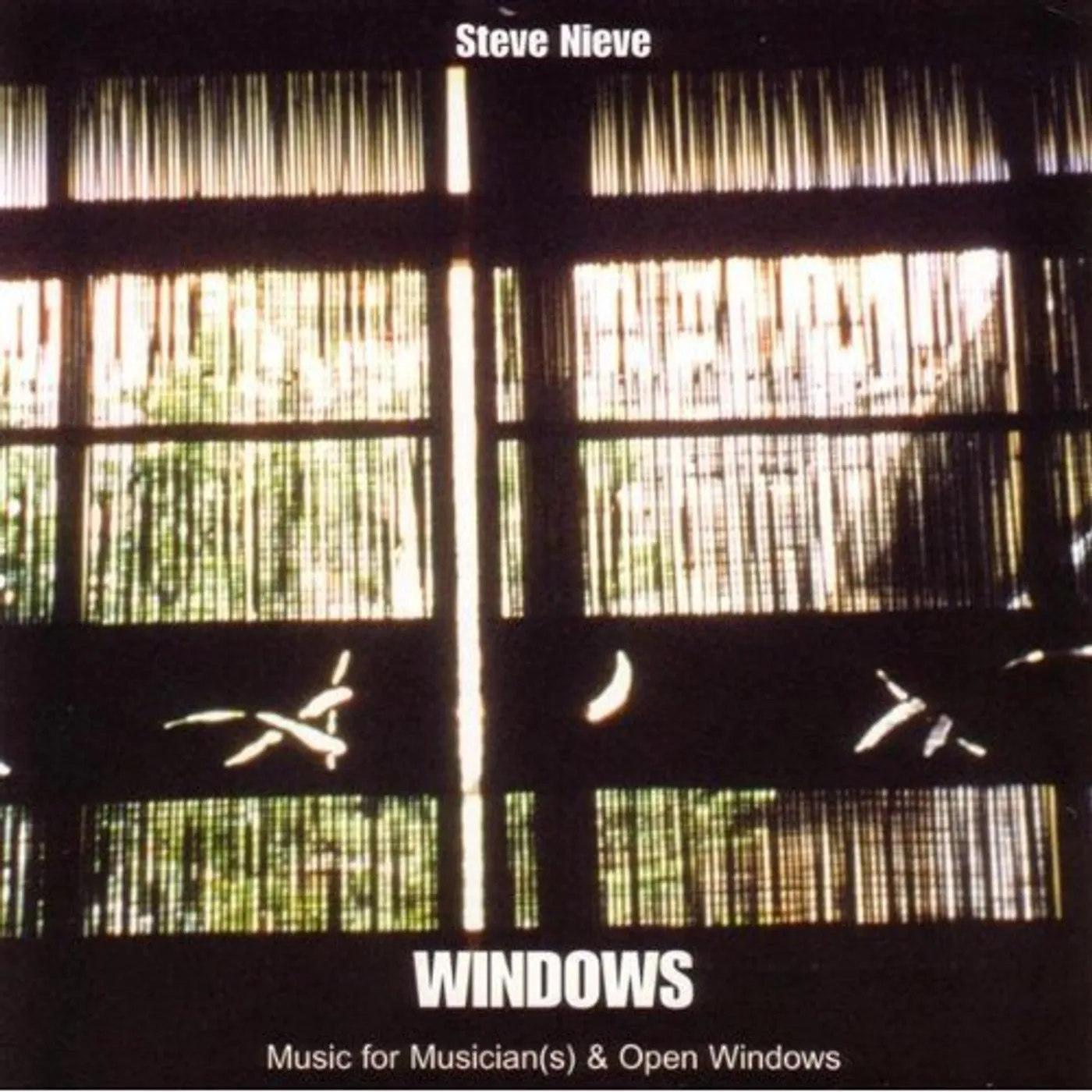 Steve Nieve WINDOW CD