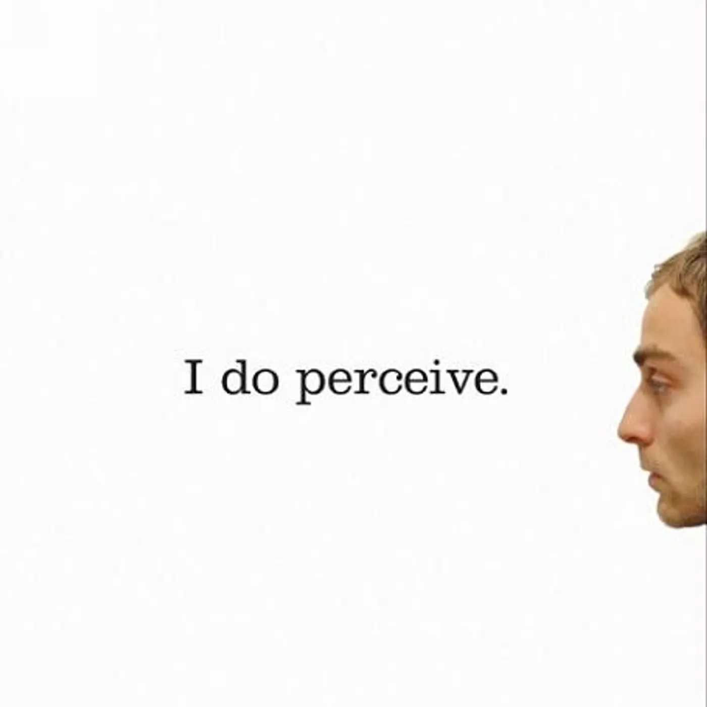 Owen I Do Perceive Vinyl Record