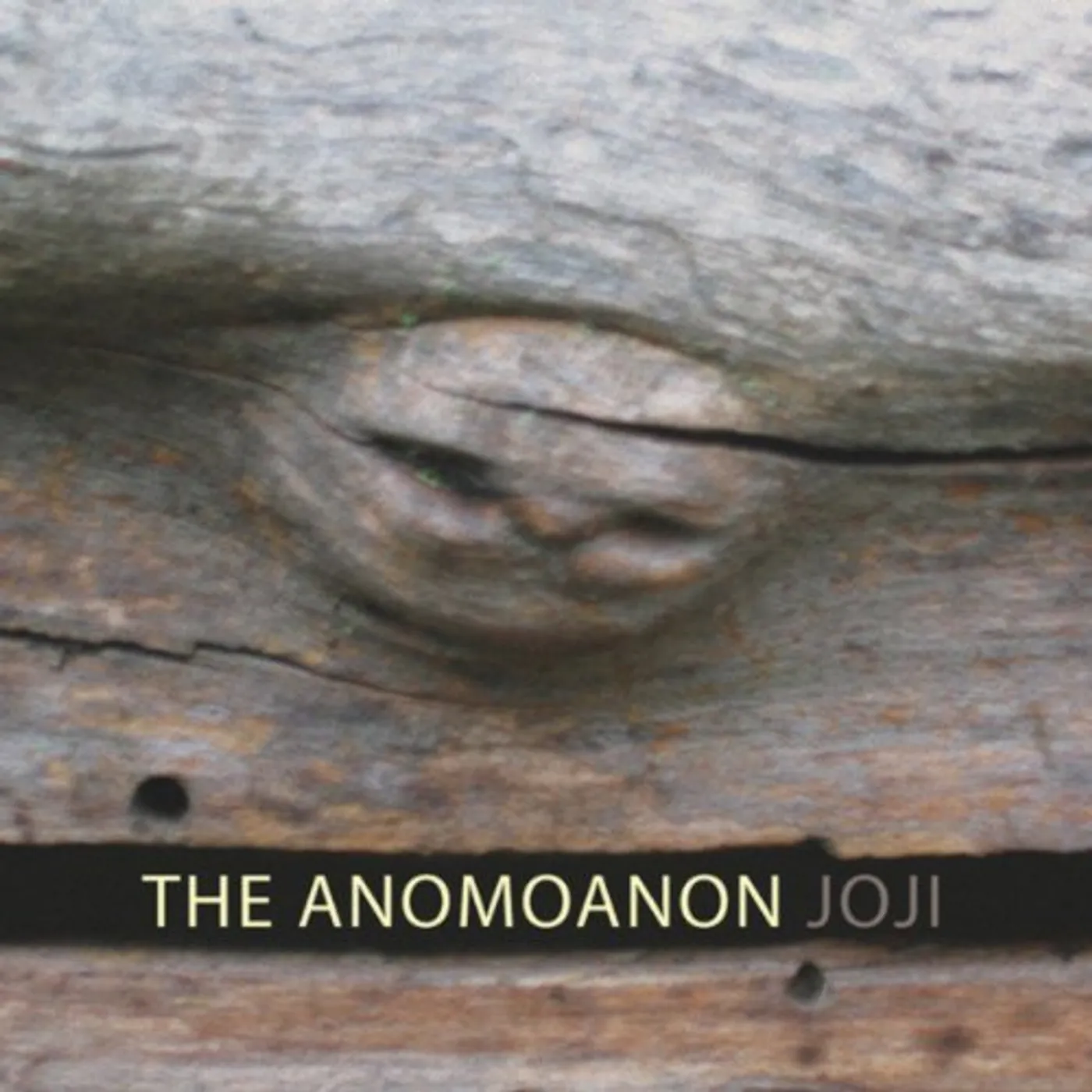Anomoanon JOJI Vinyl Record