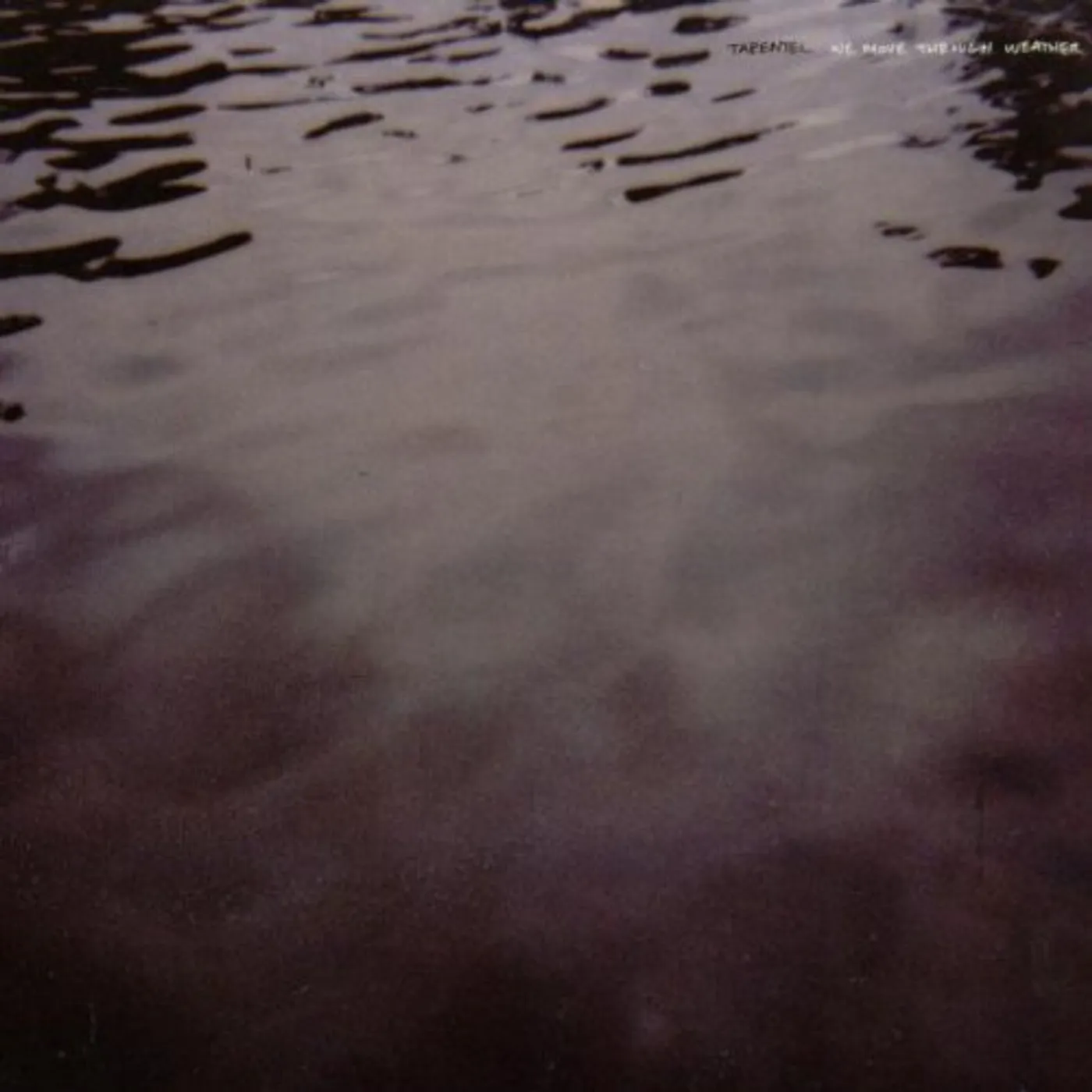 Tarentel WE MOVE THROUGH WEATHER CD