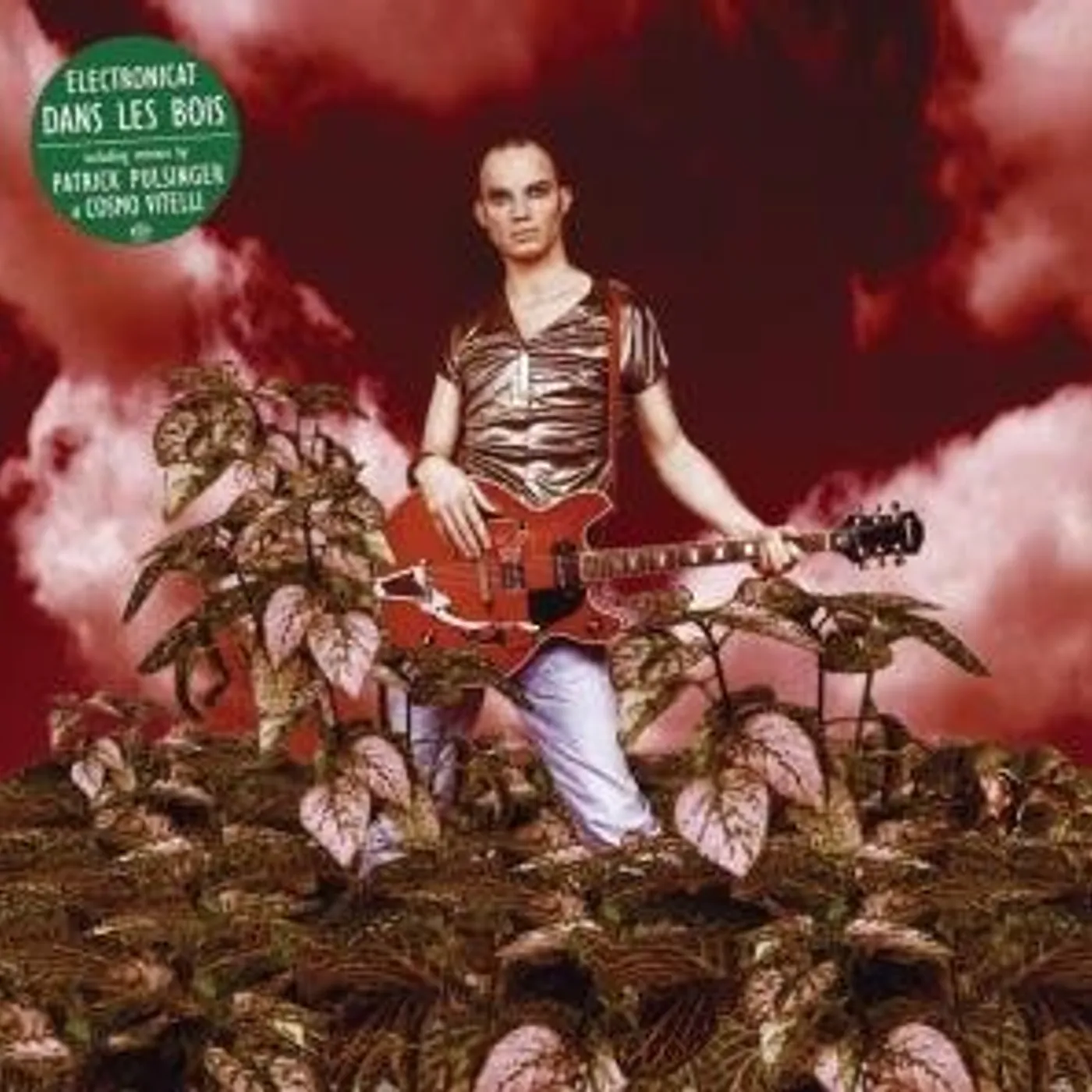 Electronicat DANS LES BOIS Vinyl Record