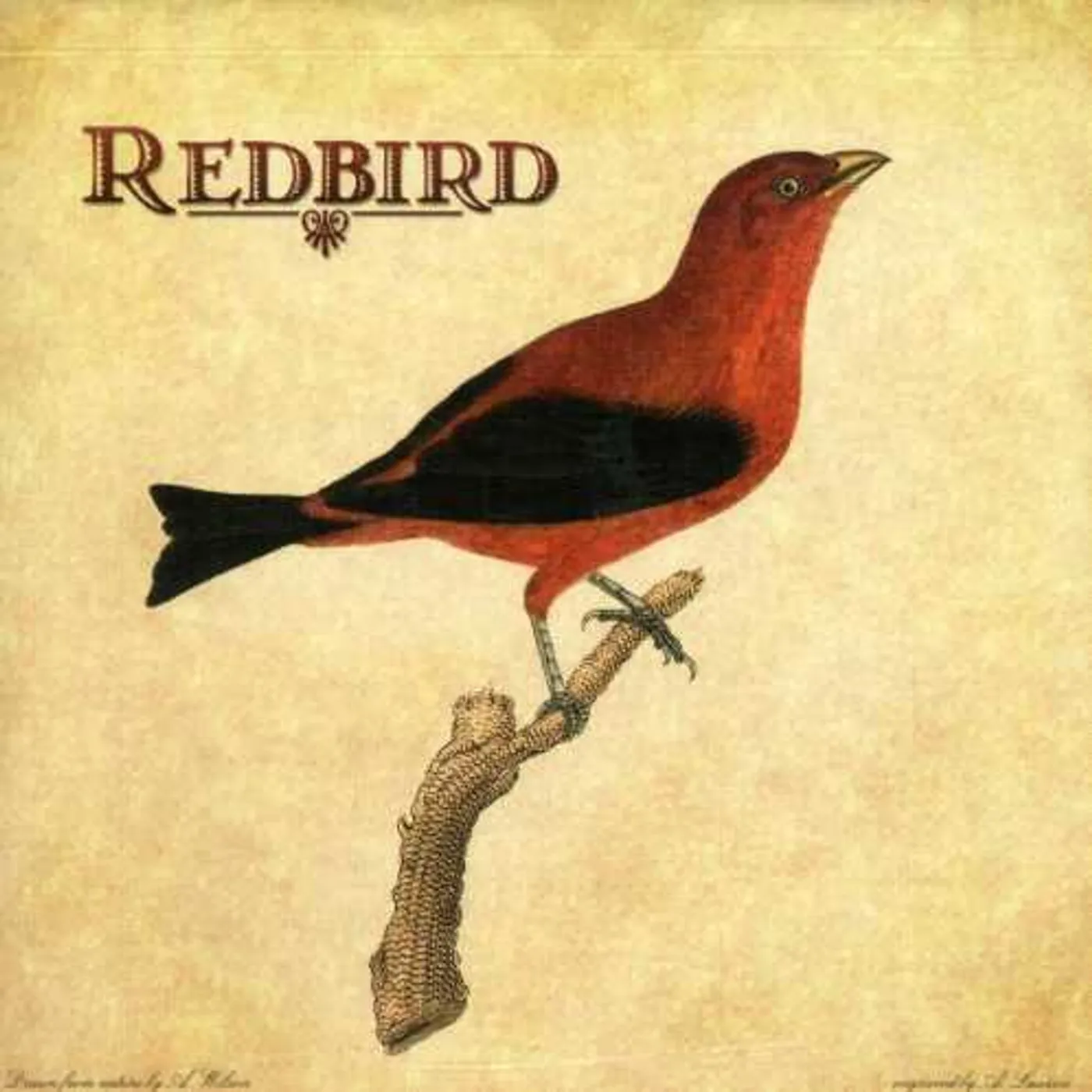 REDBIRD CD