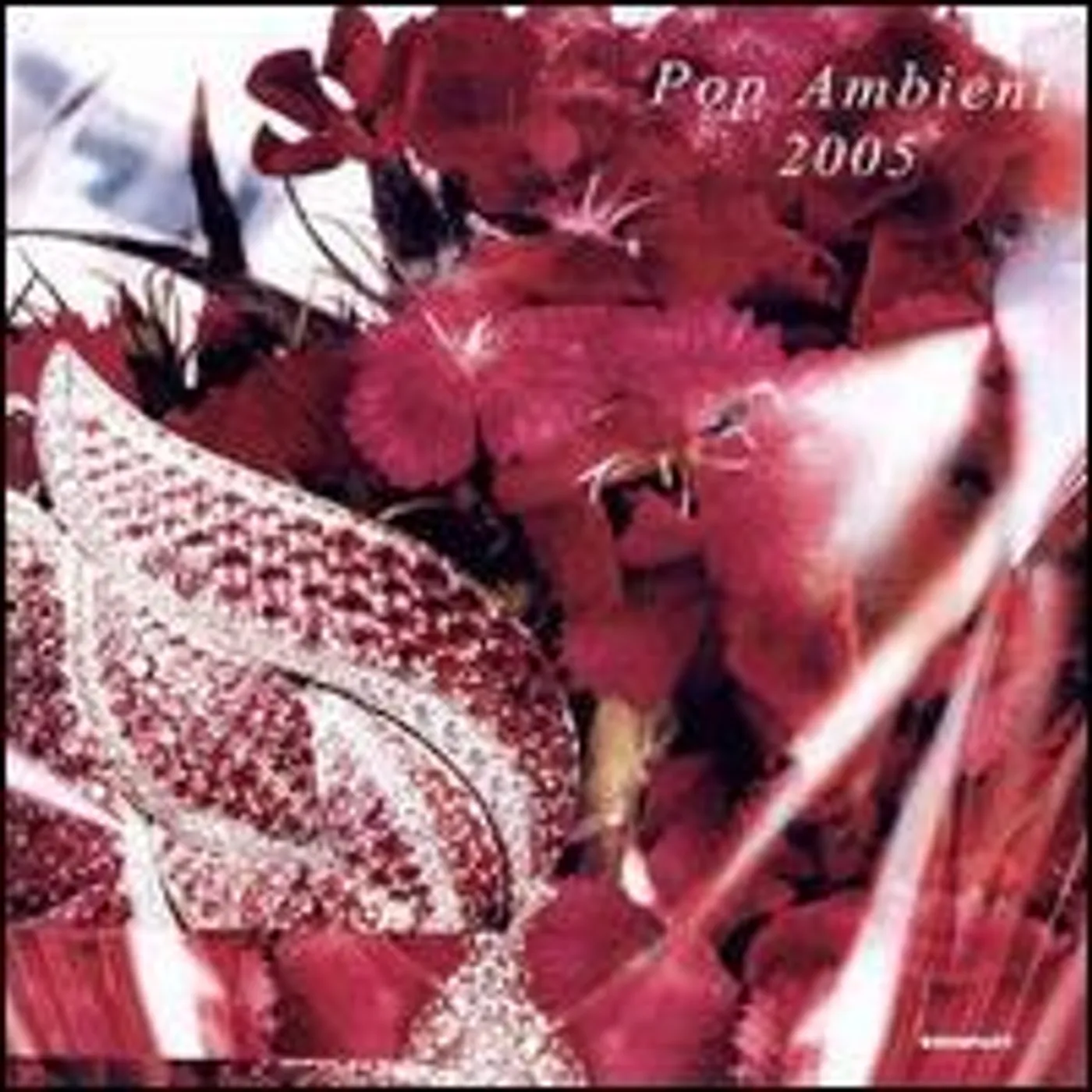 POP AMBIENT 2005 / VARIOUS Vinyl Record