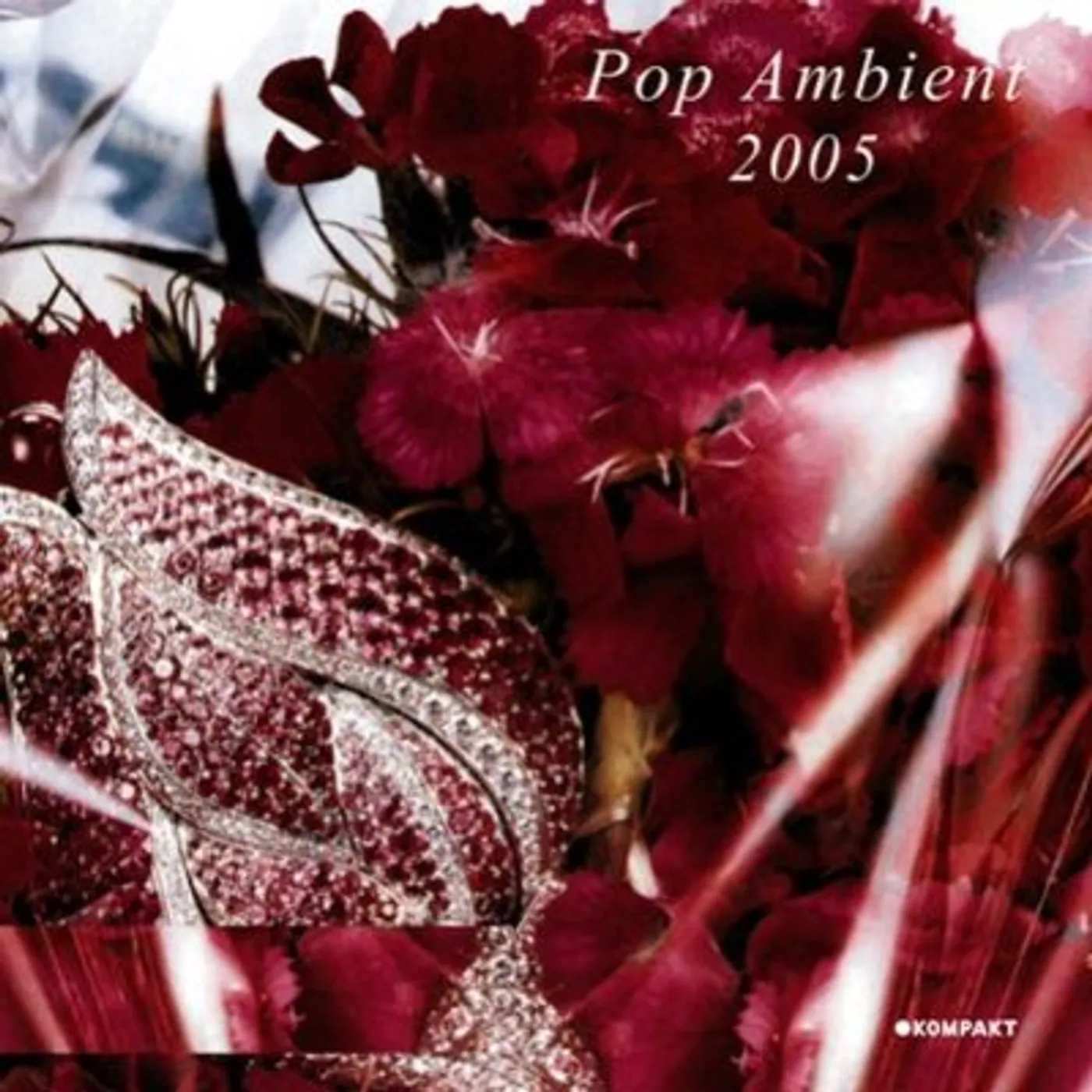 POP AMBIENT 2005 / VARIOUS CD