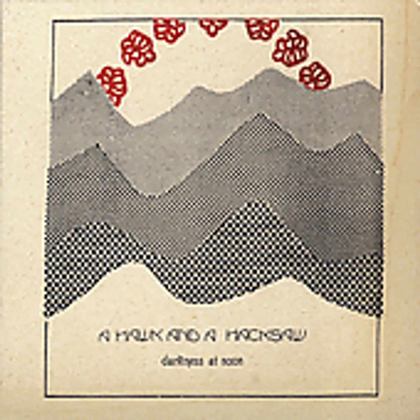 A Hawk And A Hacksaw DARKNESS AT NOON CD