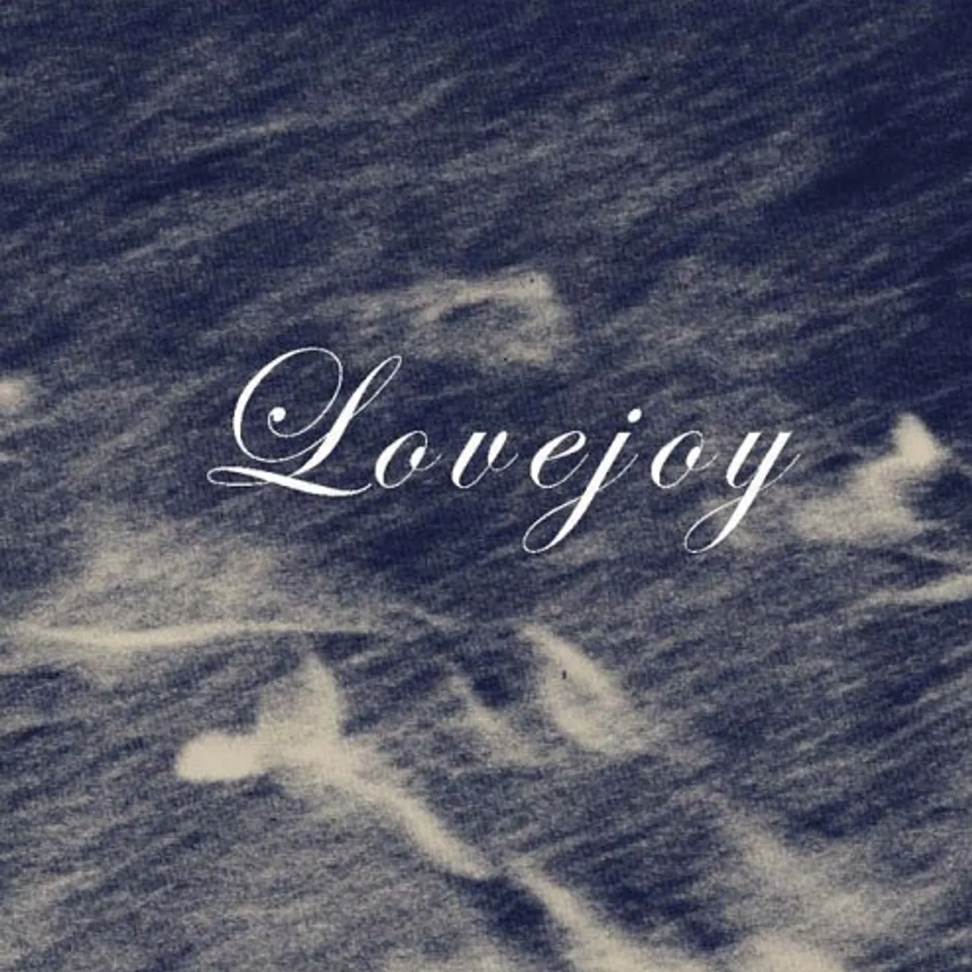 Lovejoy EVERYBODY HATES CD