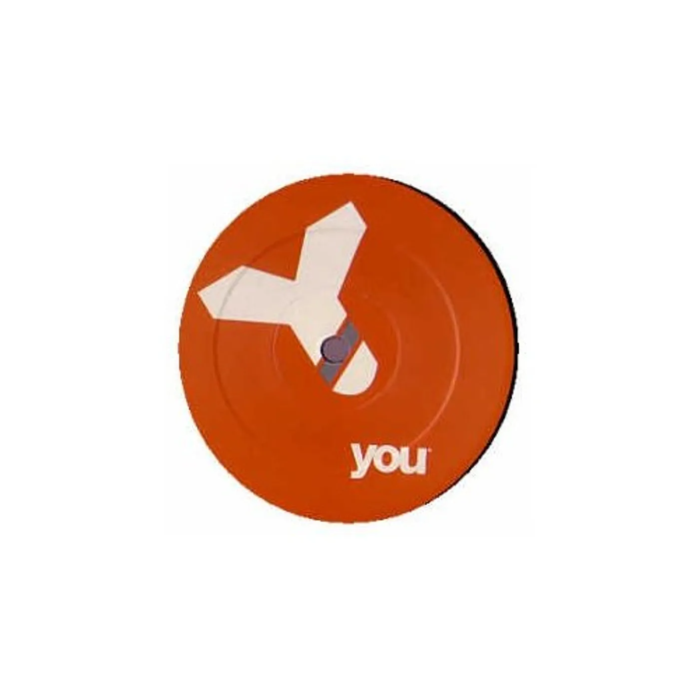 Vinyl Life Flashlight Vinyl Record