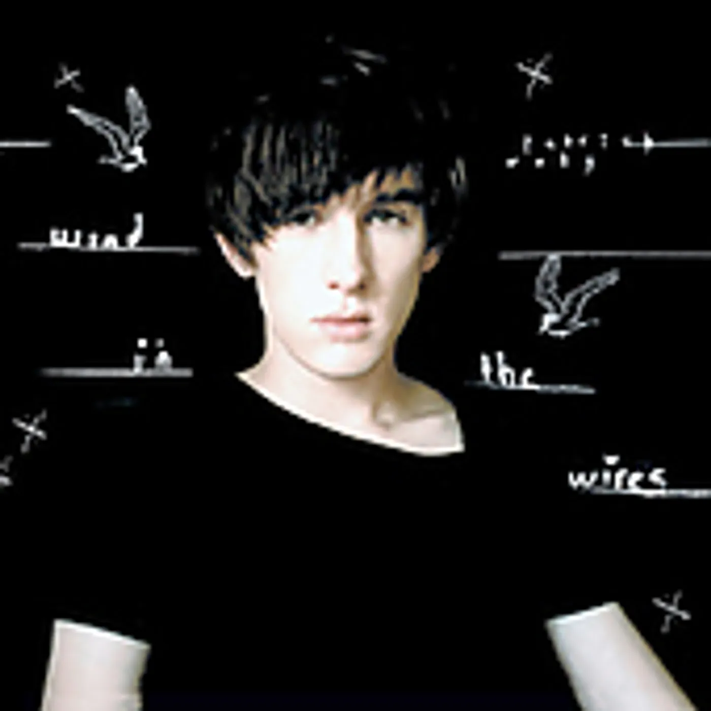 Patrick Wolf WIND IN THE WIRES CD