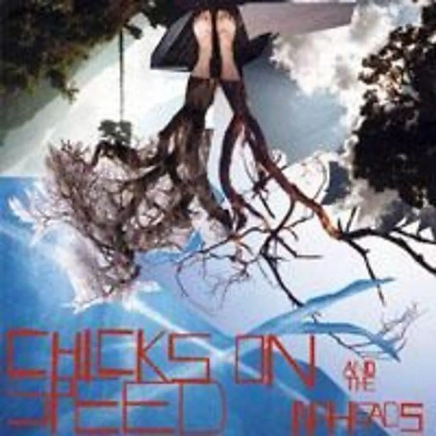 Chicks On Speed And The Noheads Press The Spacebar Vinyl Record