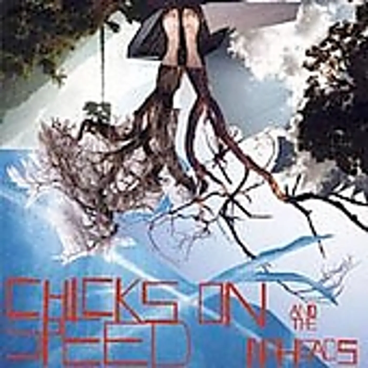 Chicks On Speed And The Noheads PRESS THE SPACEBAR CD