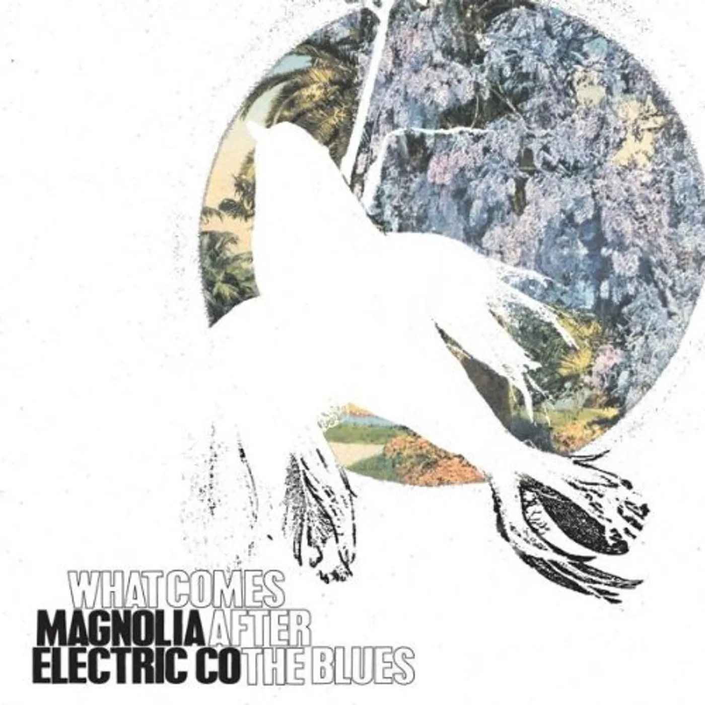 Magnolia Electric Co. What Comes After The Blues Vinyl Record