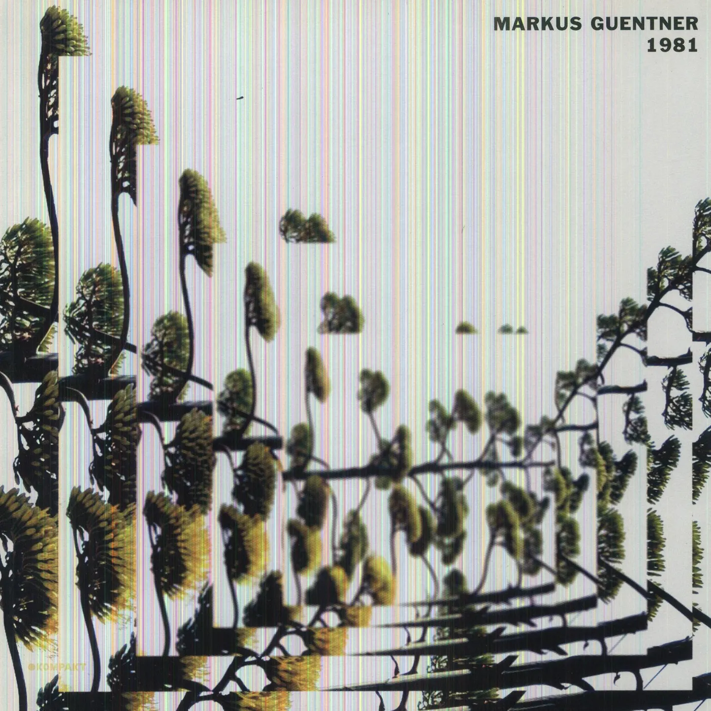 Markus Guentner 1981 Vinyl Record