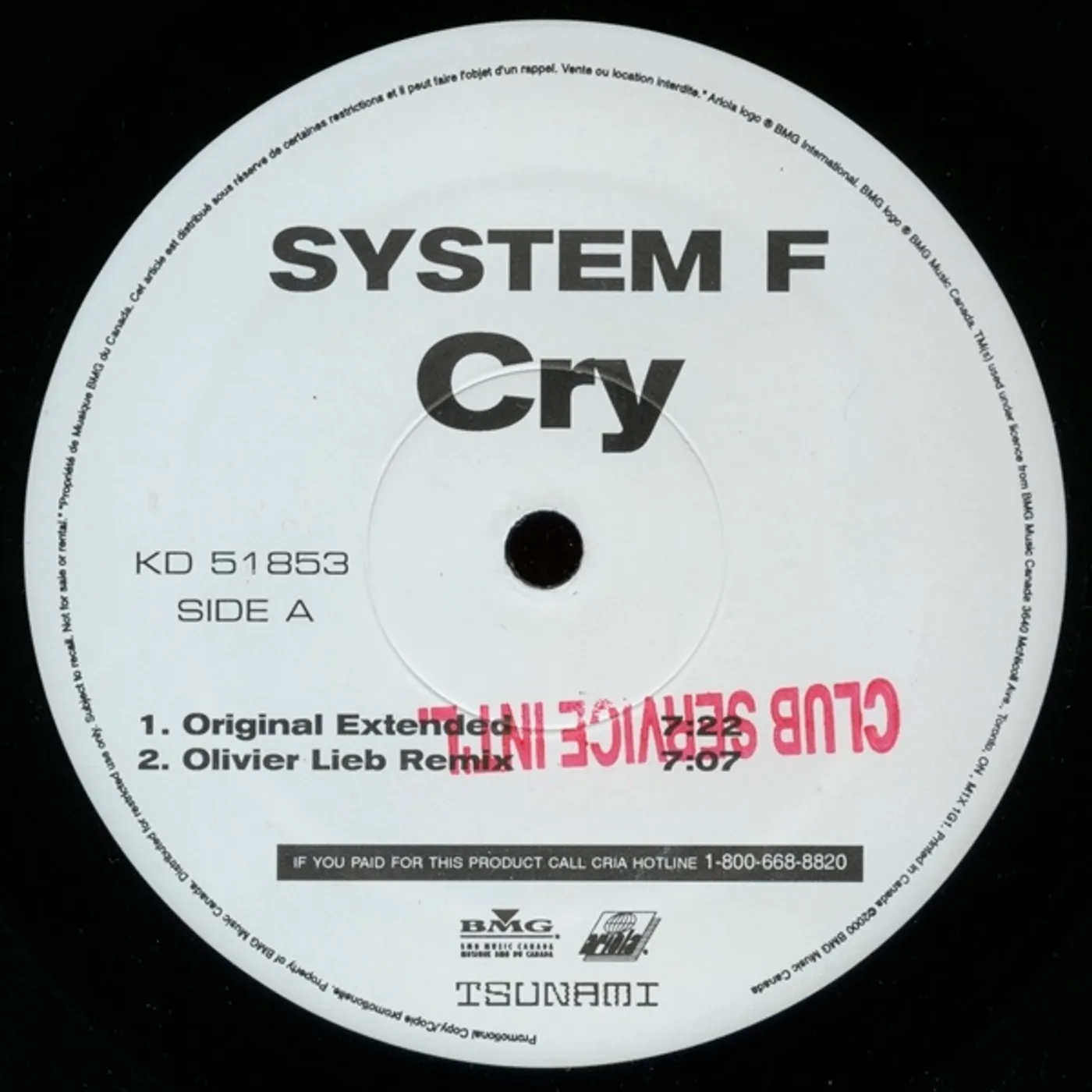 System ------ Vinyl Record