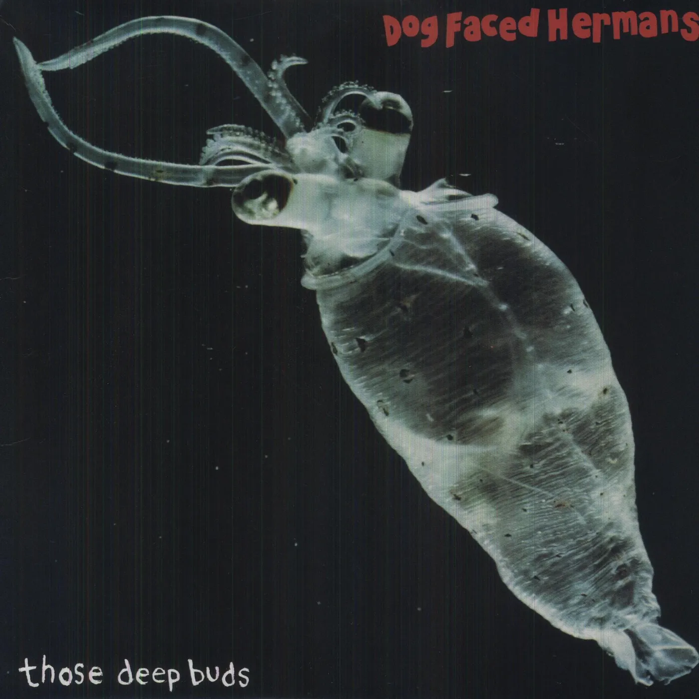 Dog Faced Hermans Those Deep Buds Vinyl Record