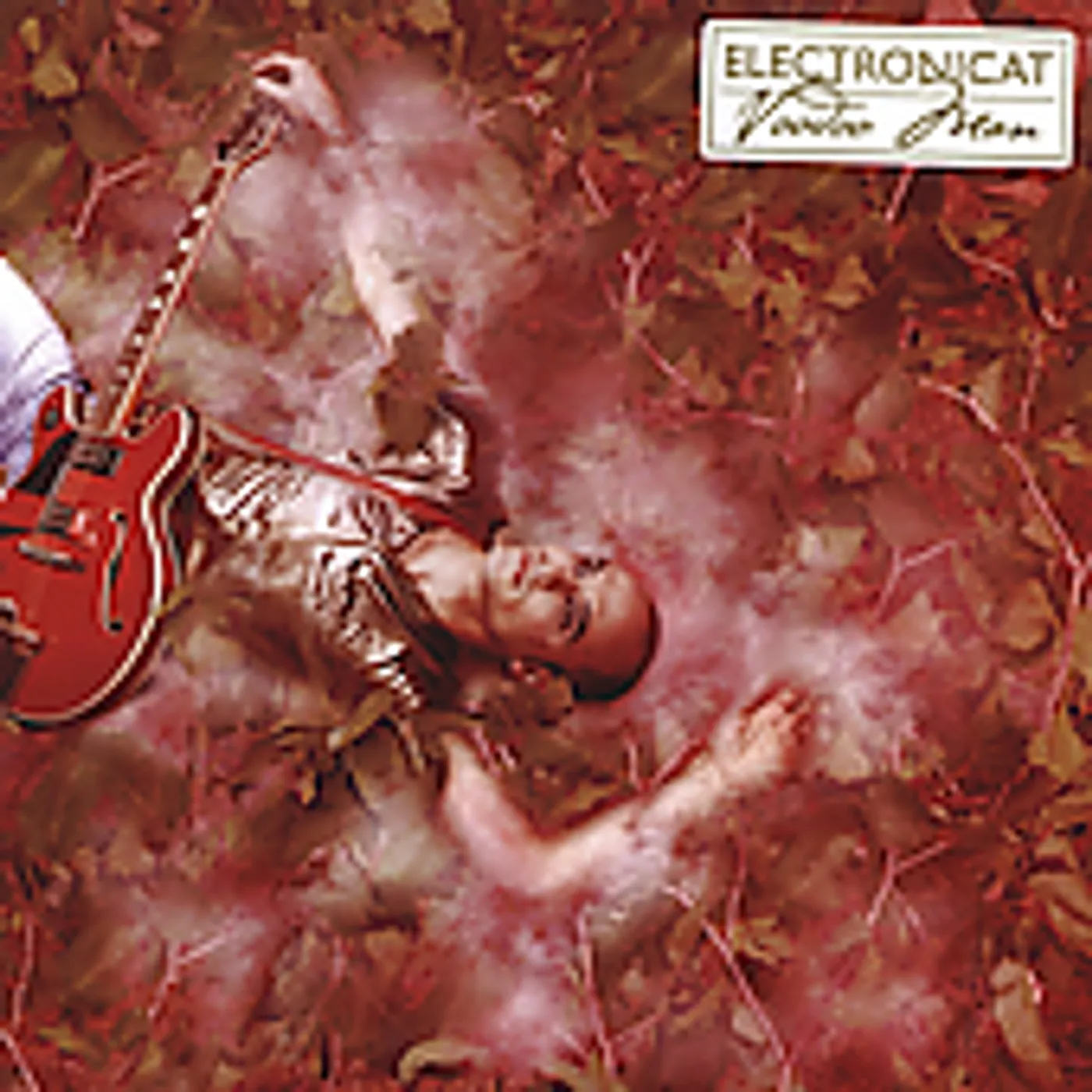 Electronicat VOODOO MAN CD