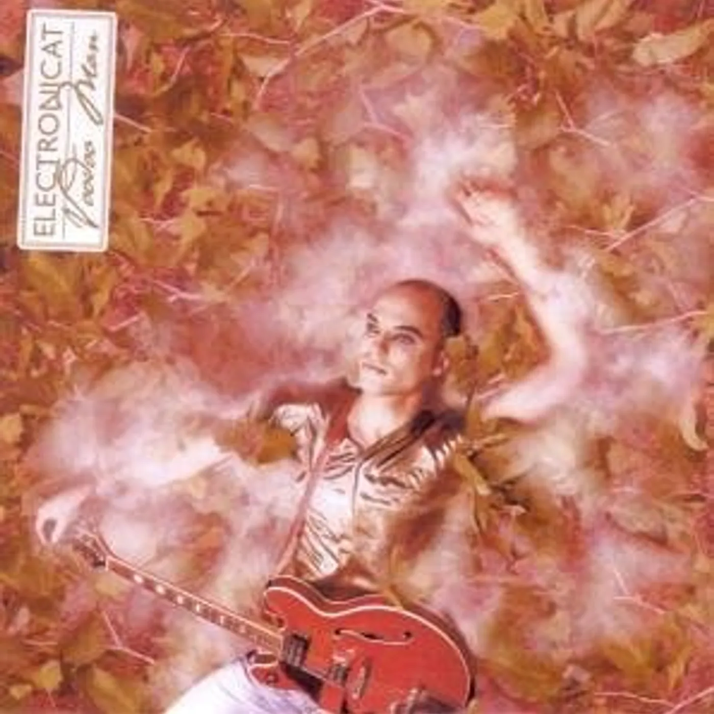 Electronicat Voodoo Man Vinyl Record