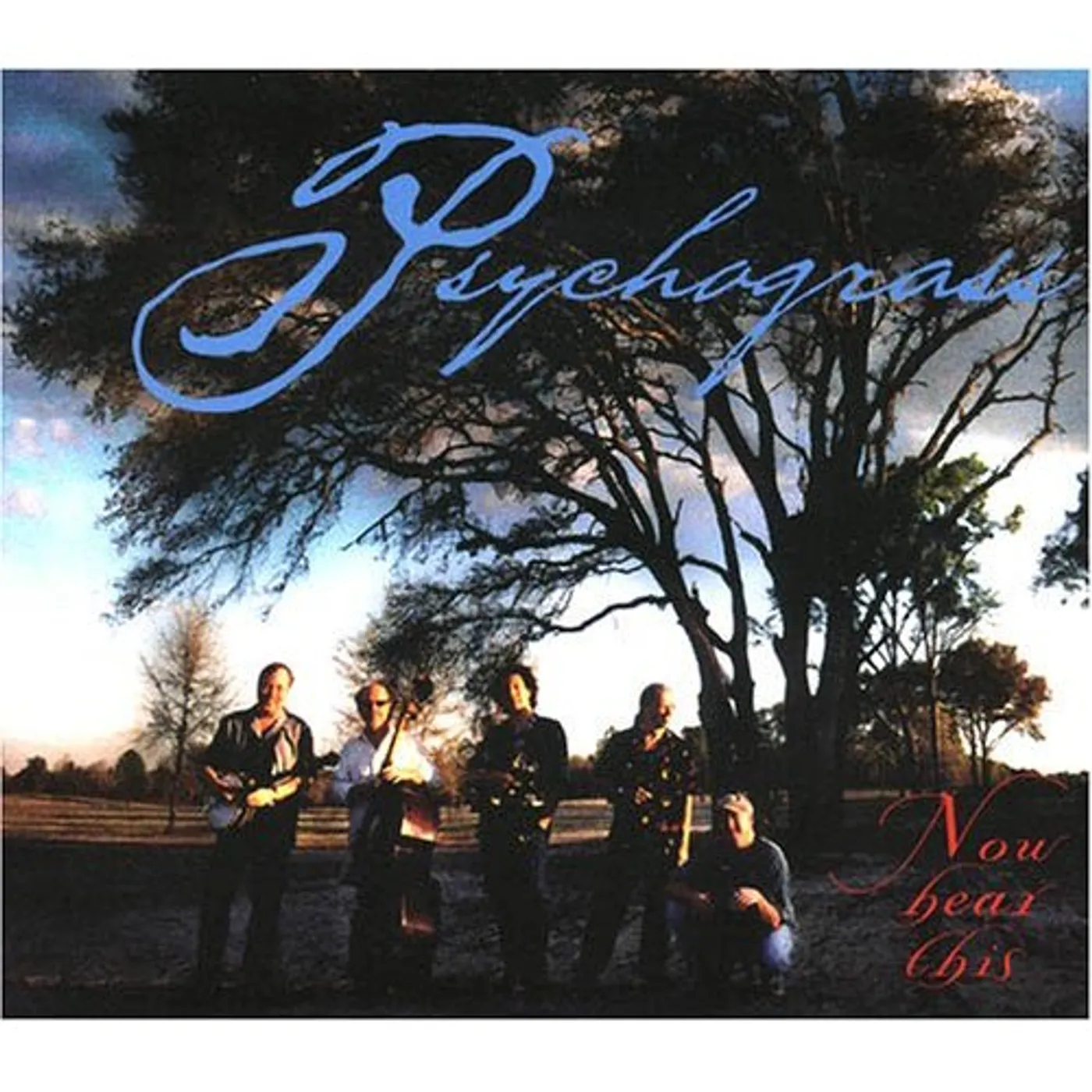 Psychograss NOW HEAR THIS CD