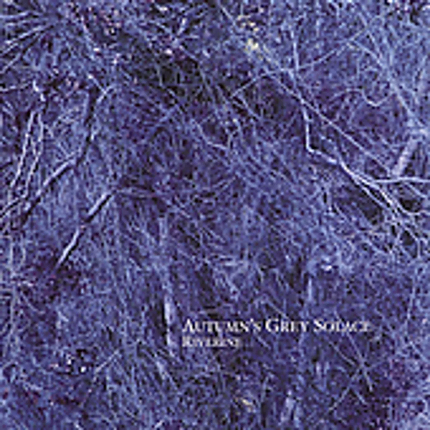 Autumn's Grey Solace RIVERINE CD