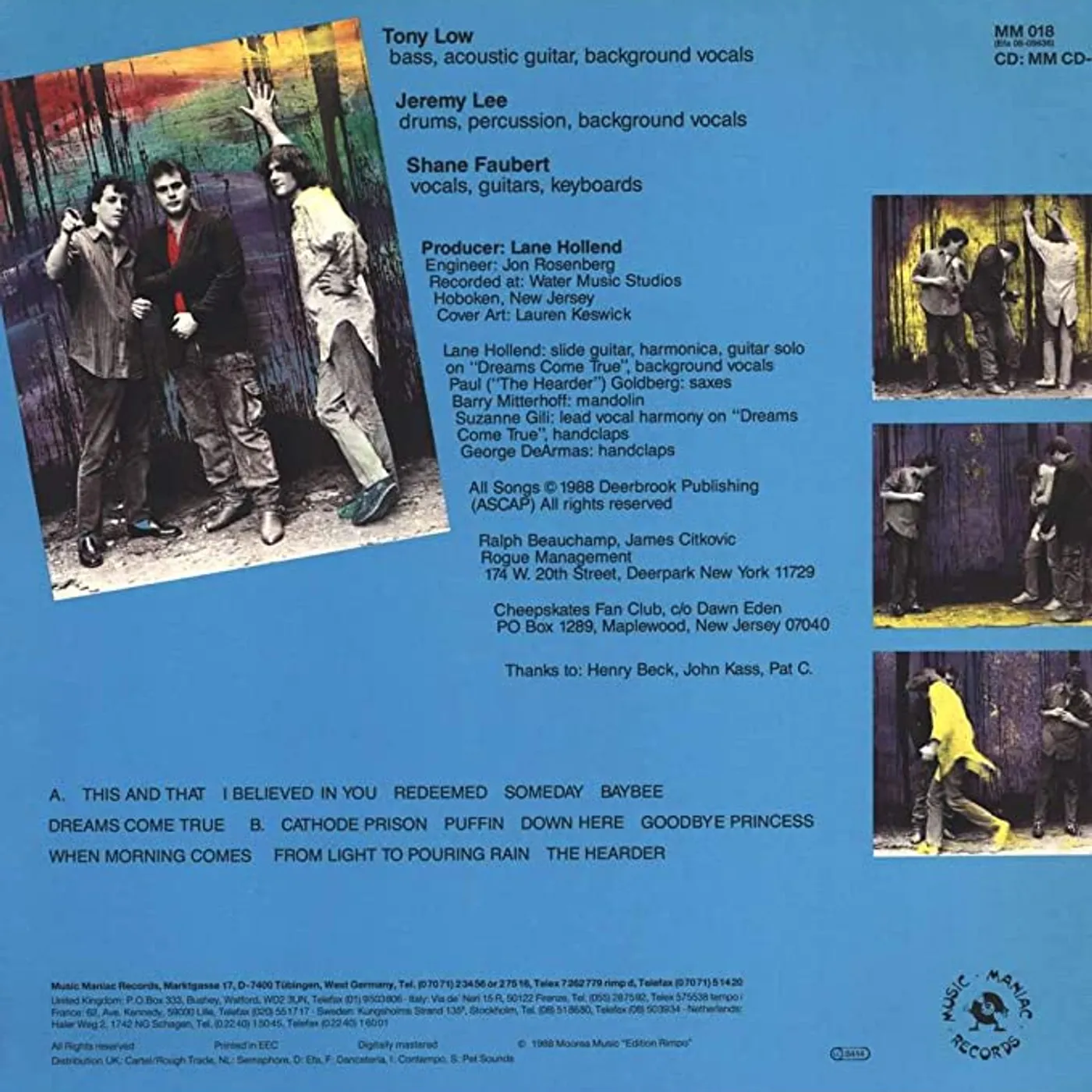 Cheepskates IT WINGS ABOVE Vinyl Record