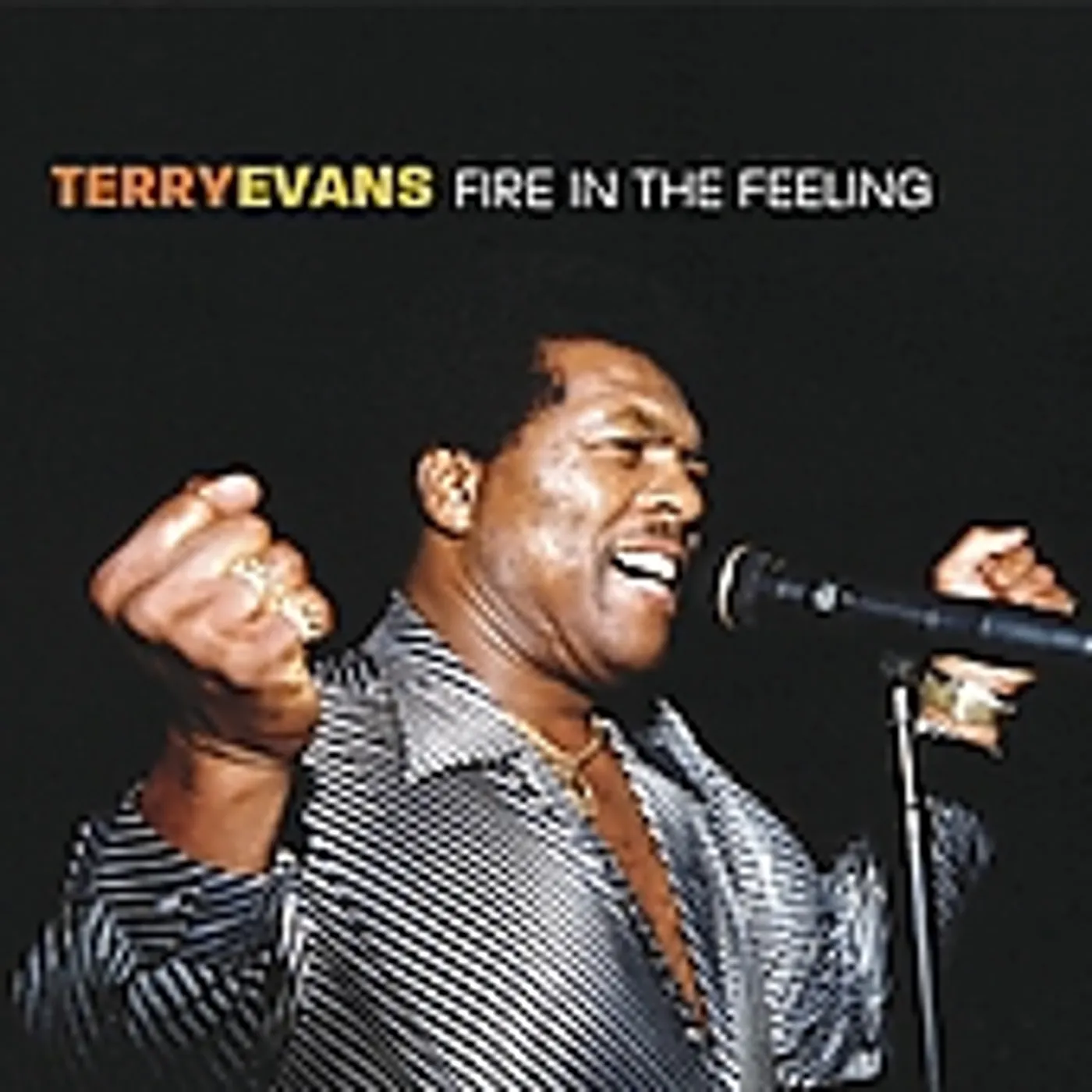 Terry Evans FIRE IN THE FEELING CD