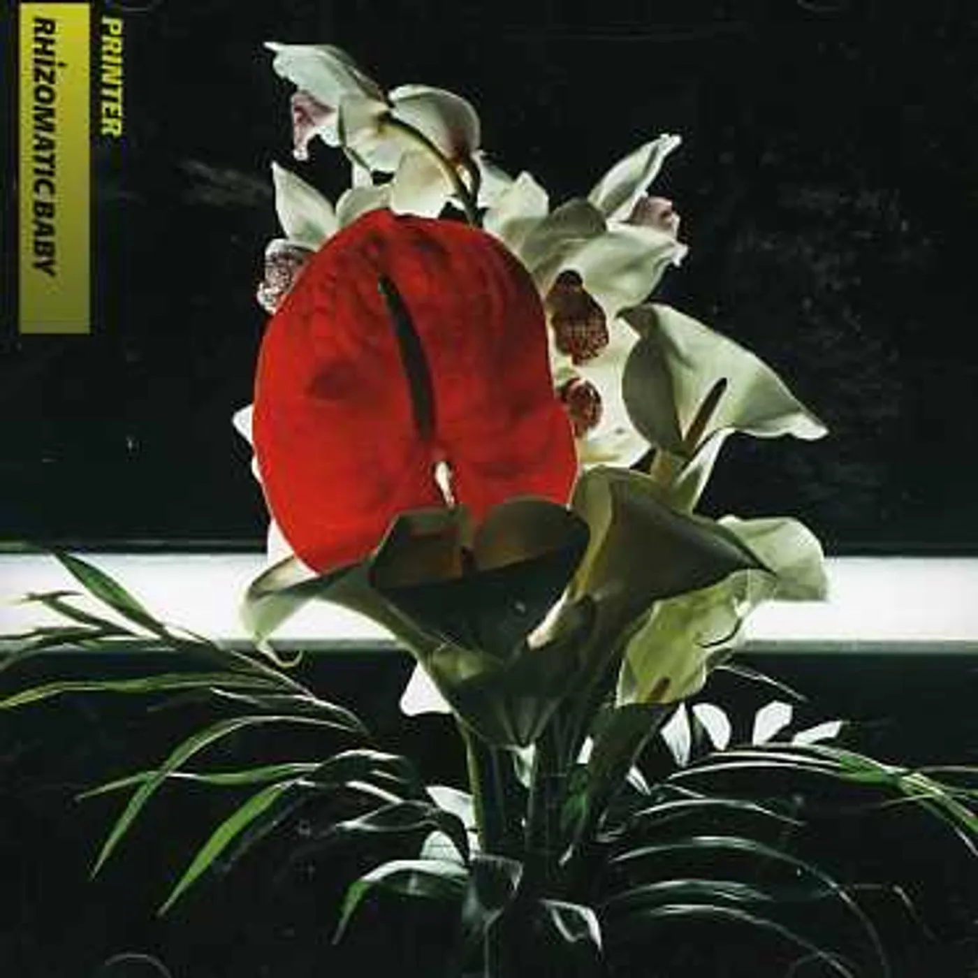 Printer RHIZOMATIC BABY CD