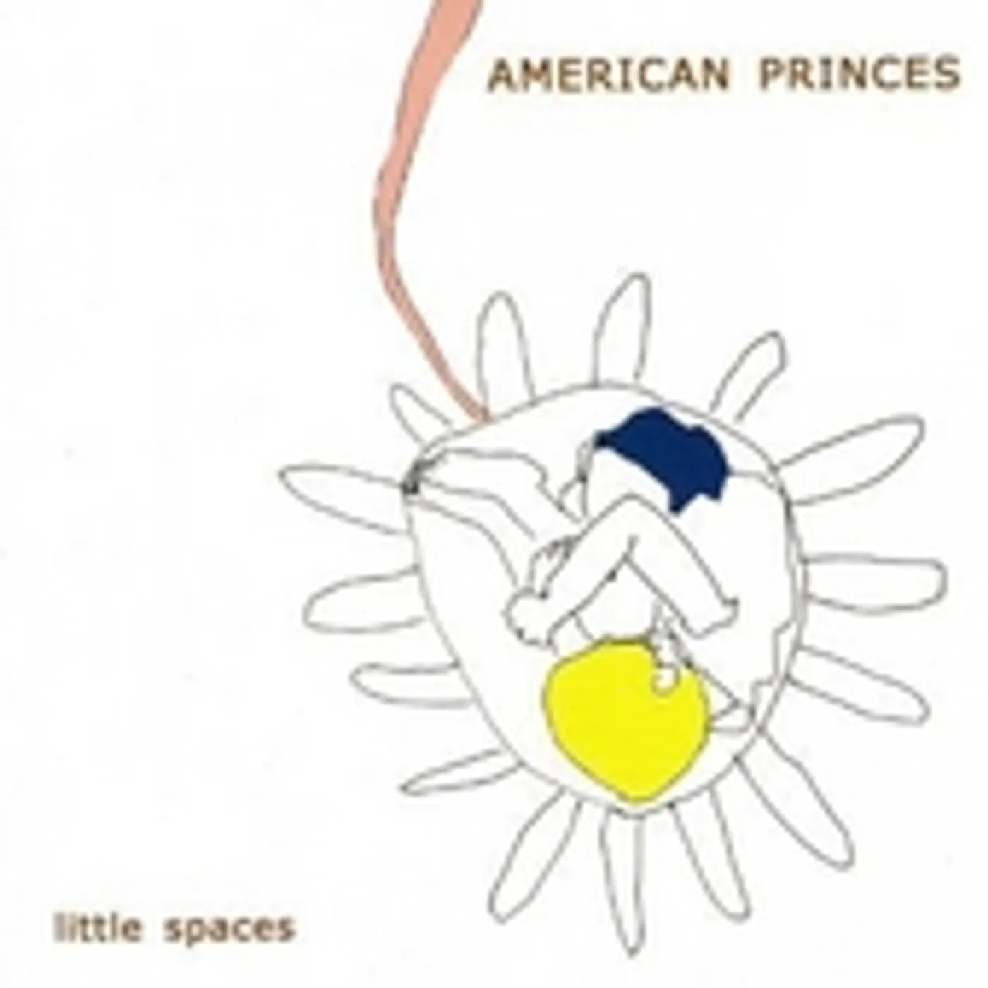 American Princes LITTLE SPACES CD