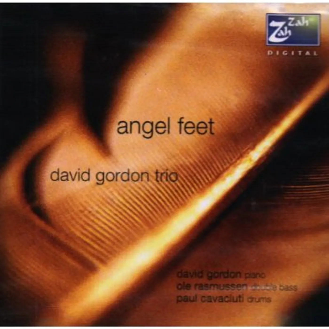 David Gordon ANGEL FEET CD