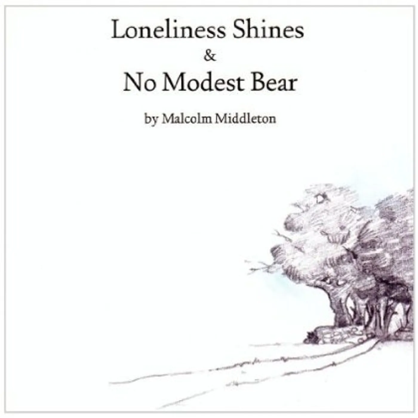 Malcolm Middleton NO MODEST BEAR / LONELINESS SHINES Vinyl Record