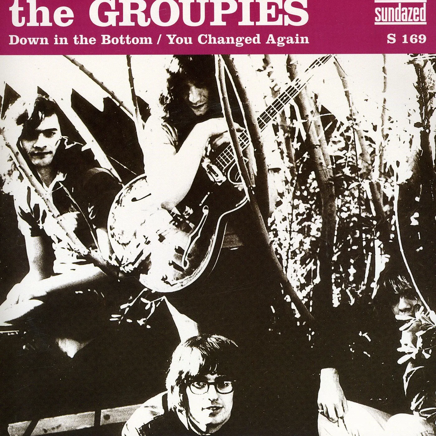 The Groupies DOWN IN THE BOTTOM: YOU CHANGED AGAIN Vinyl Record