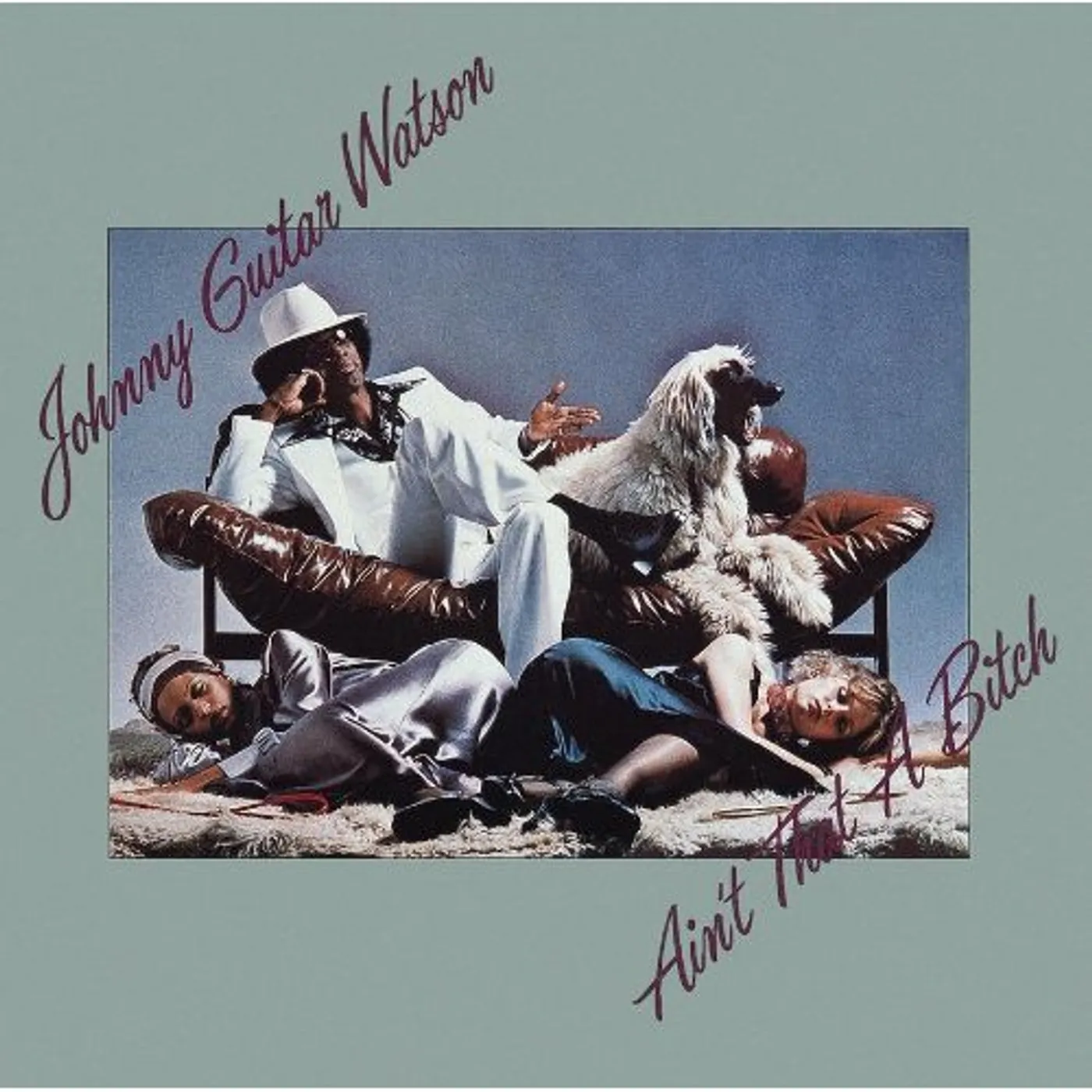 Johnny "Guitar" Watson AIN'T THAT A BITCH CD