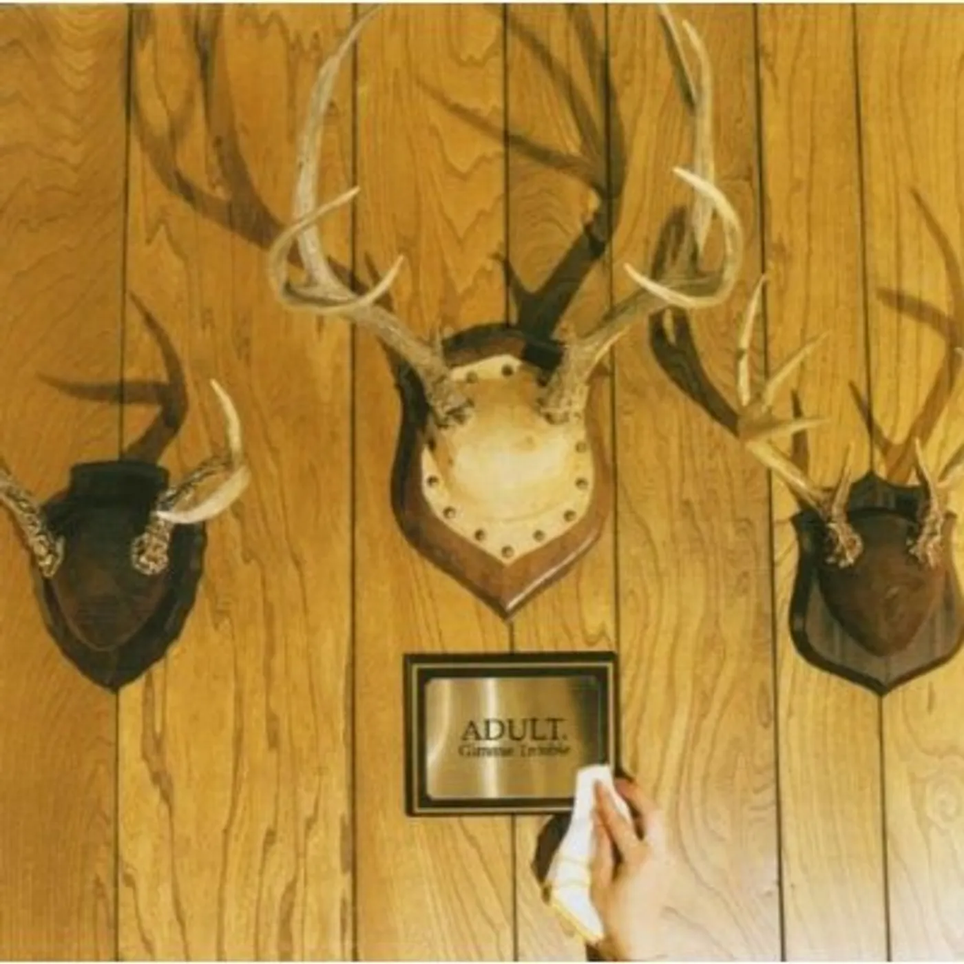 ADULT. GIMMIE TROUBLE CD