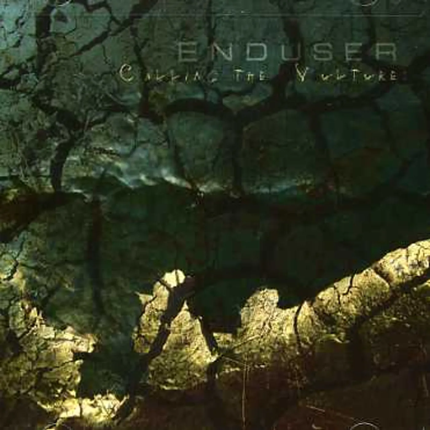 Enduser CALLING THE VULTURES CD