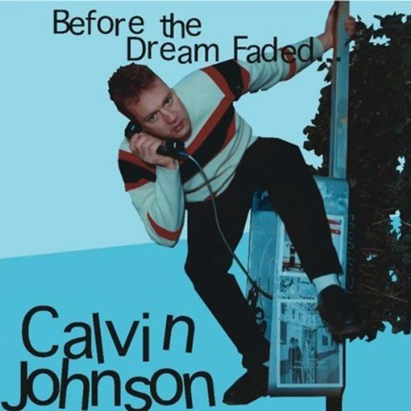 Calvin Johnson BEFORE THE DREAM FADED CD