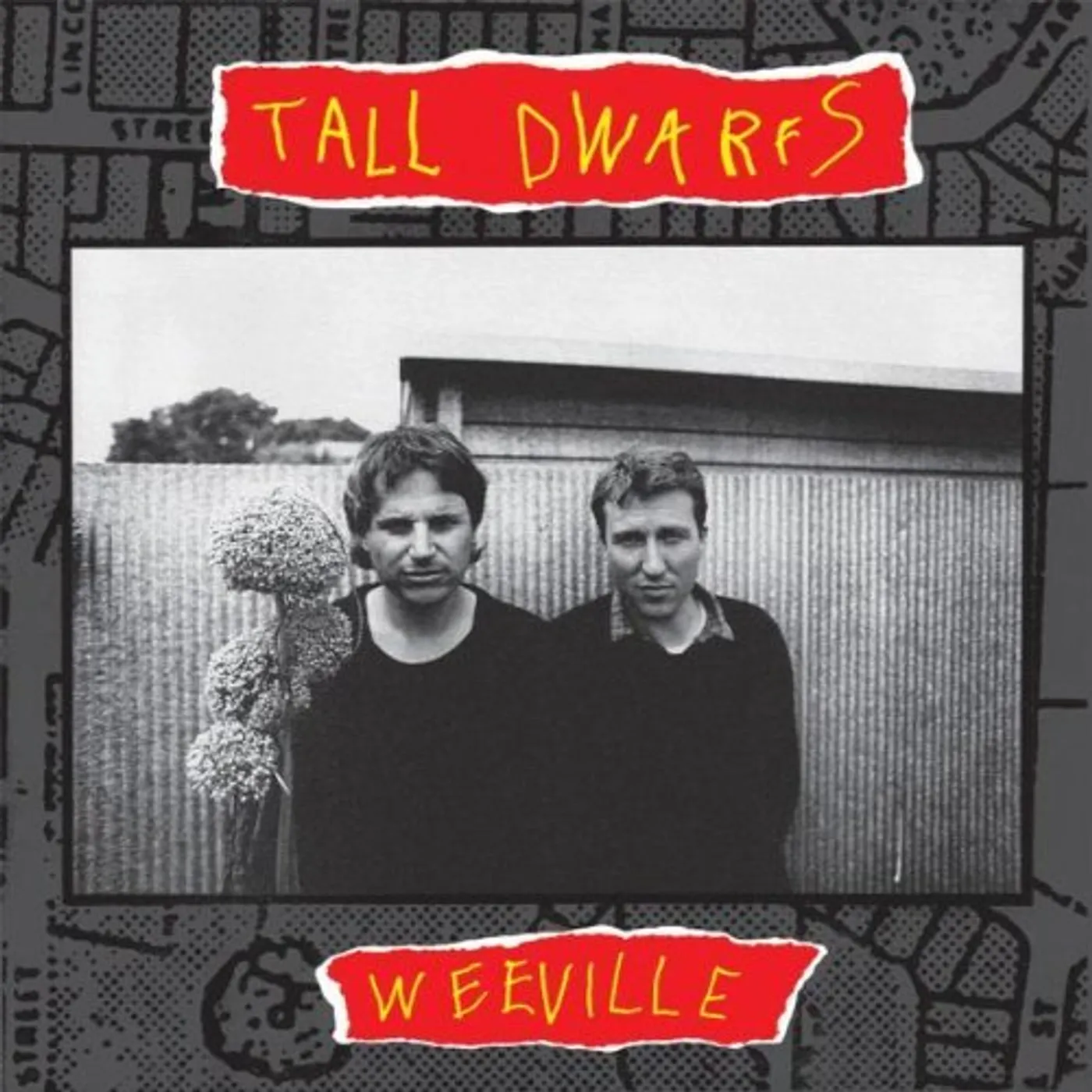 Tall Dwarfs WEEVILLE CD