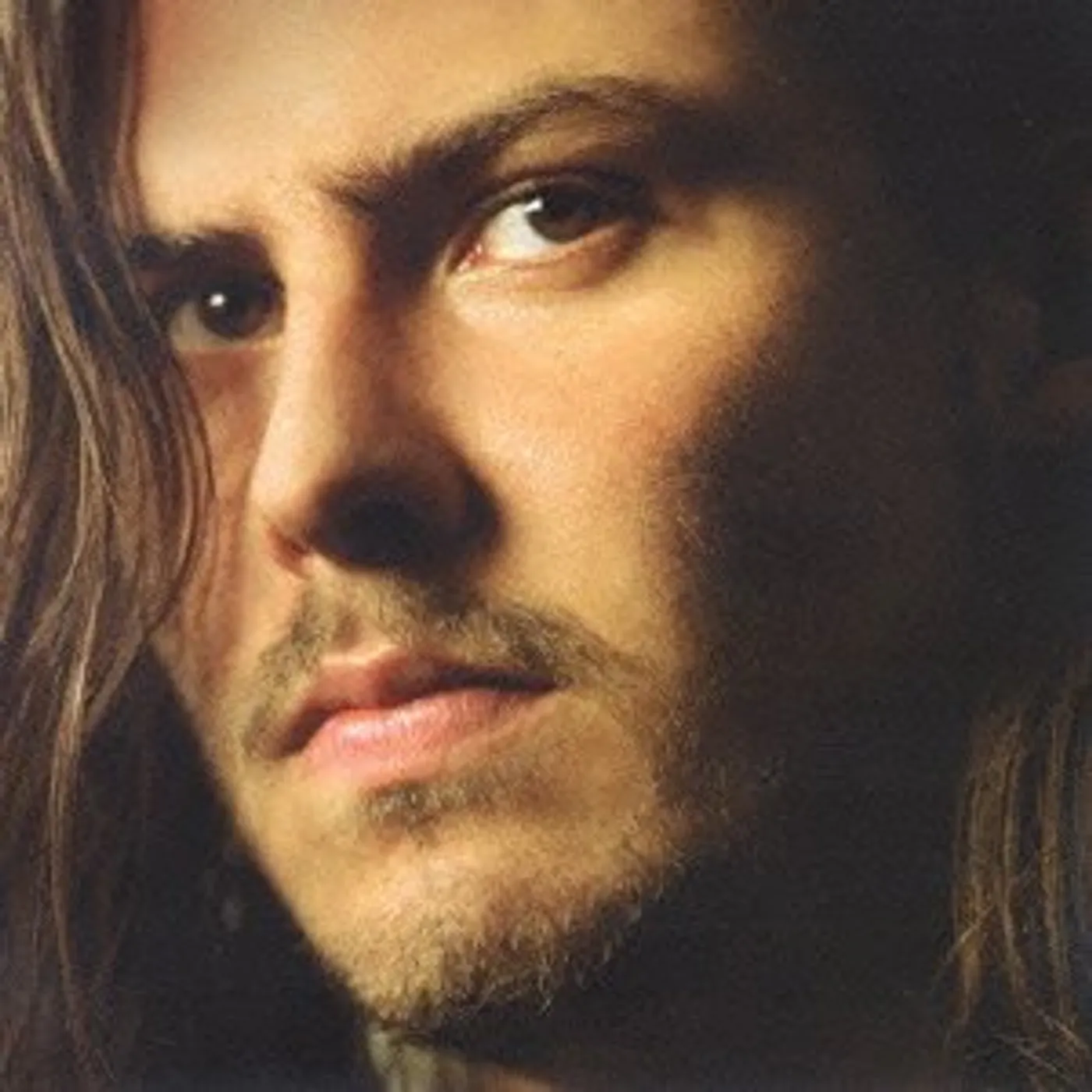 W.K. Andrew WOLF CD