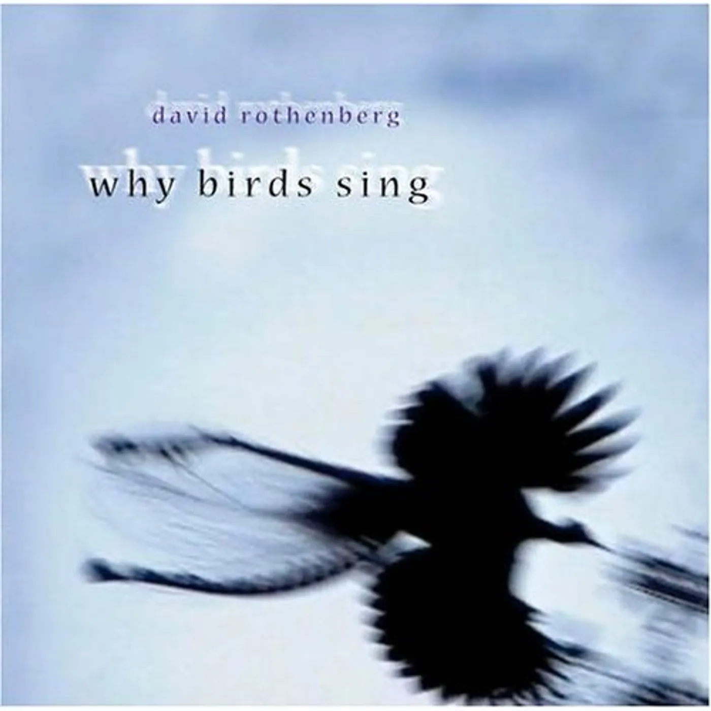 David Rothenberg WHY BIRDS CD