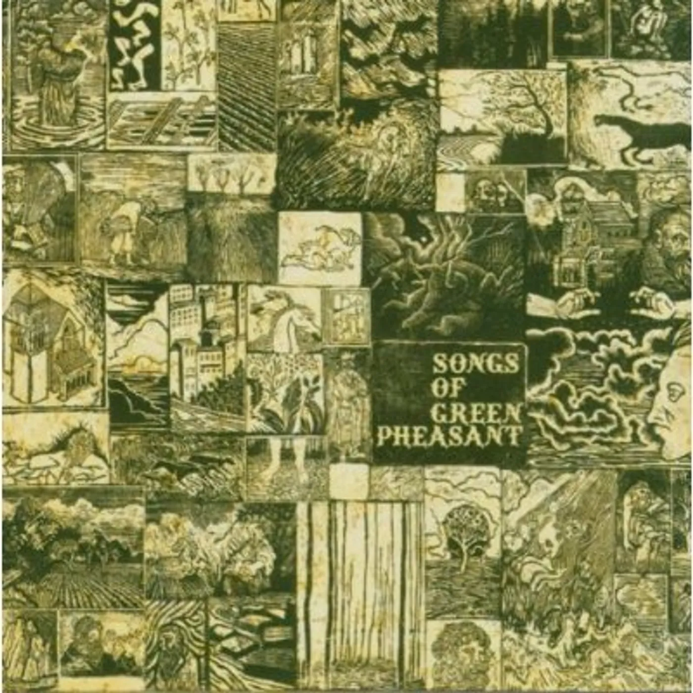 SONGS OF GREEN PHEASANT CD