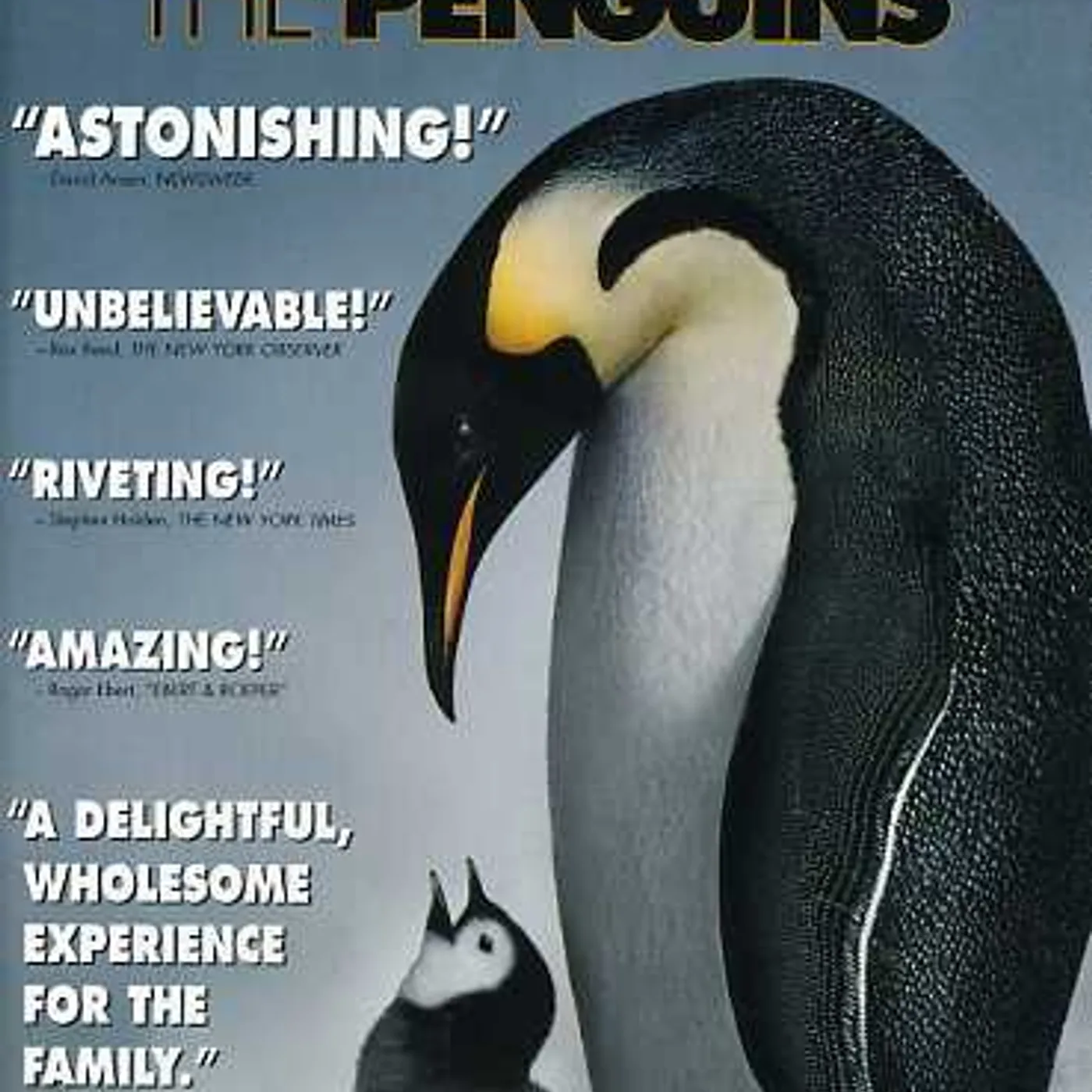 MARCH OF THE PENGUINS DVD