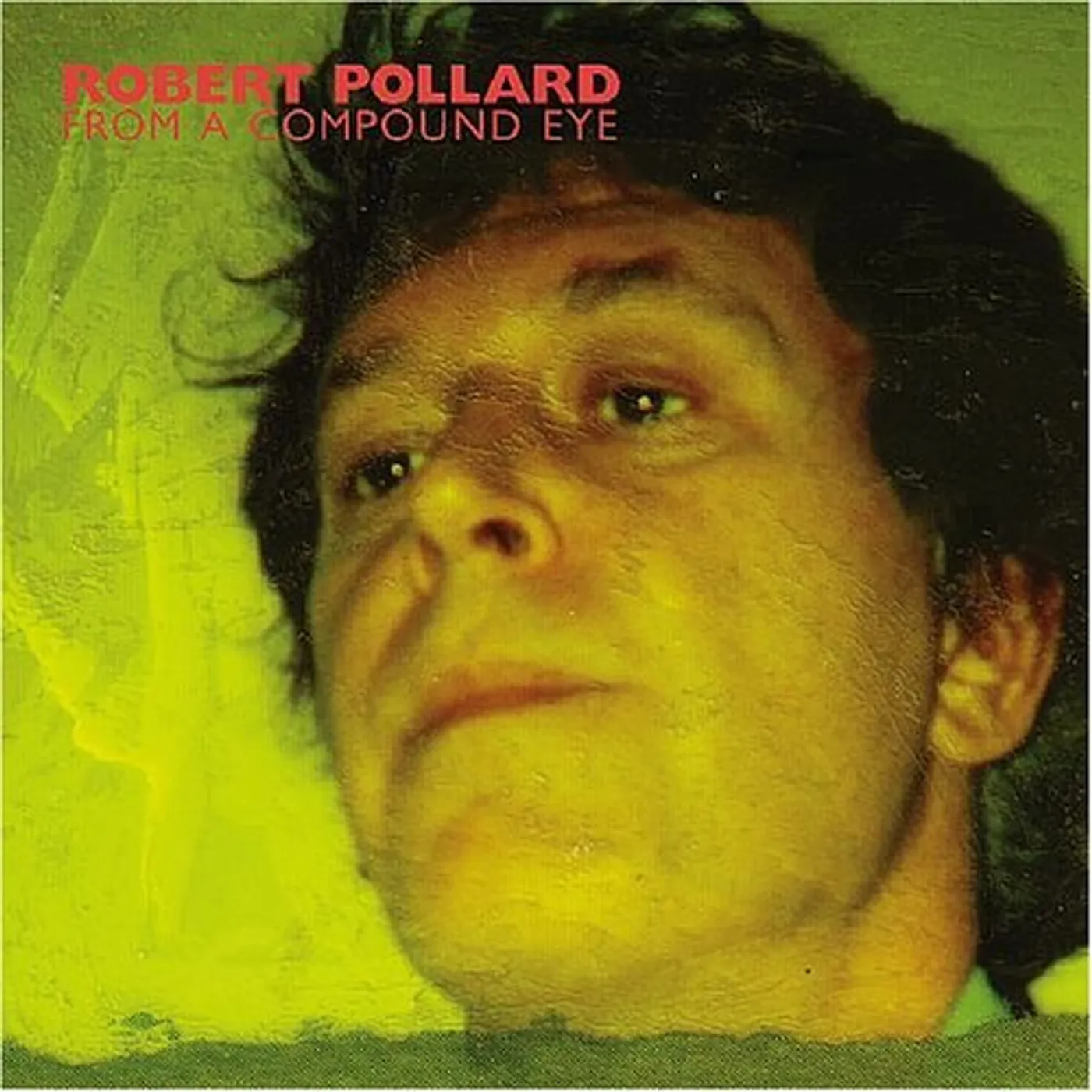 Robert Pollard FROM A COMPOUND EYE CD