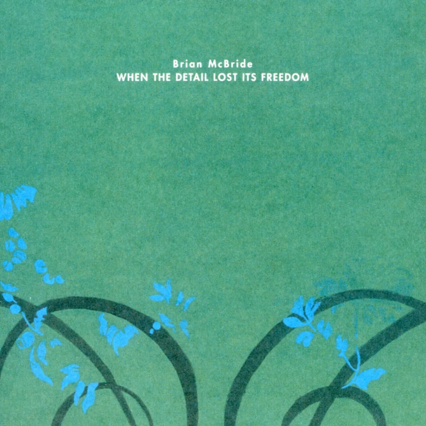 Brian McBride WHEN THE DETAIL LOST IT'S FREEDOM CD