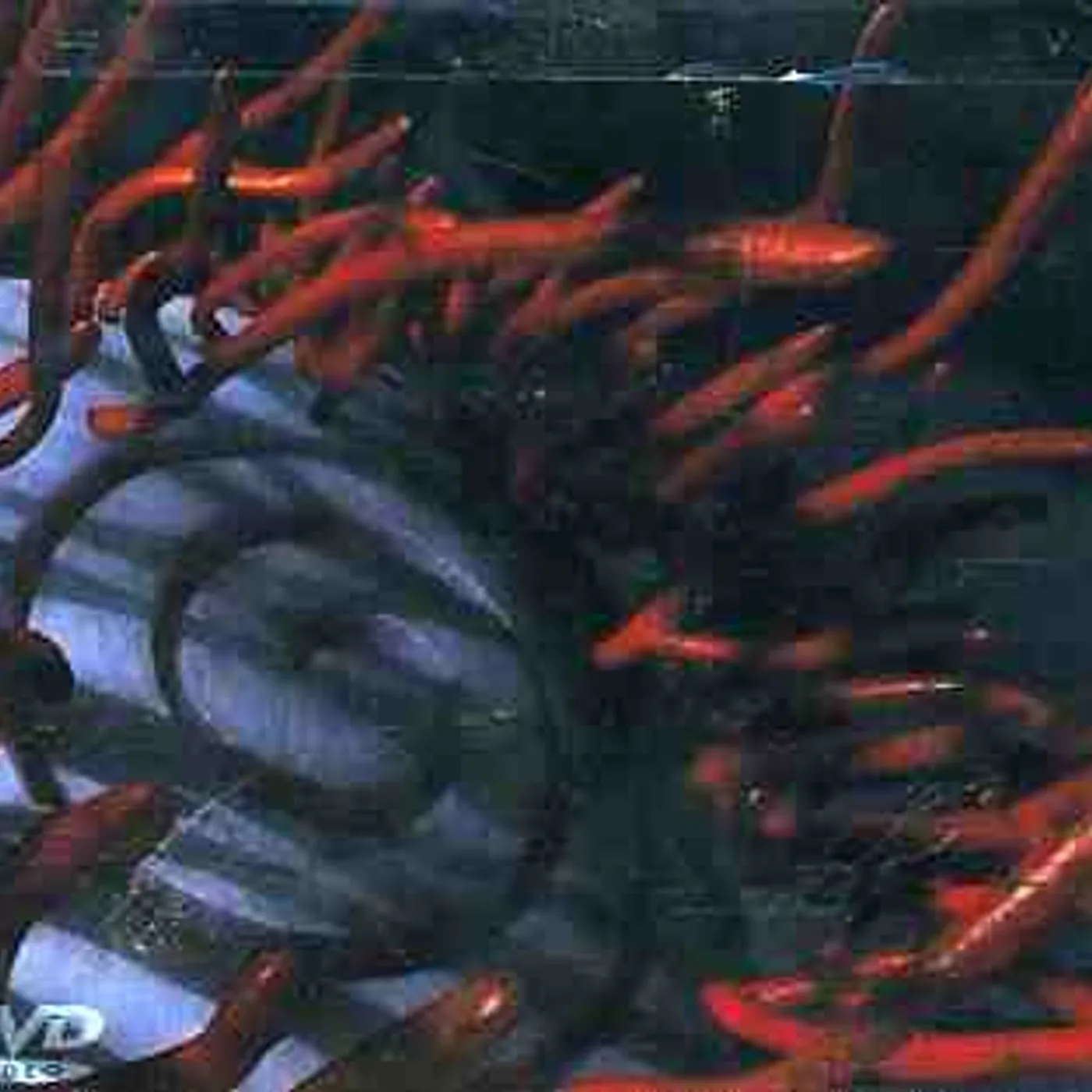 TOOL SCHISM DVD