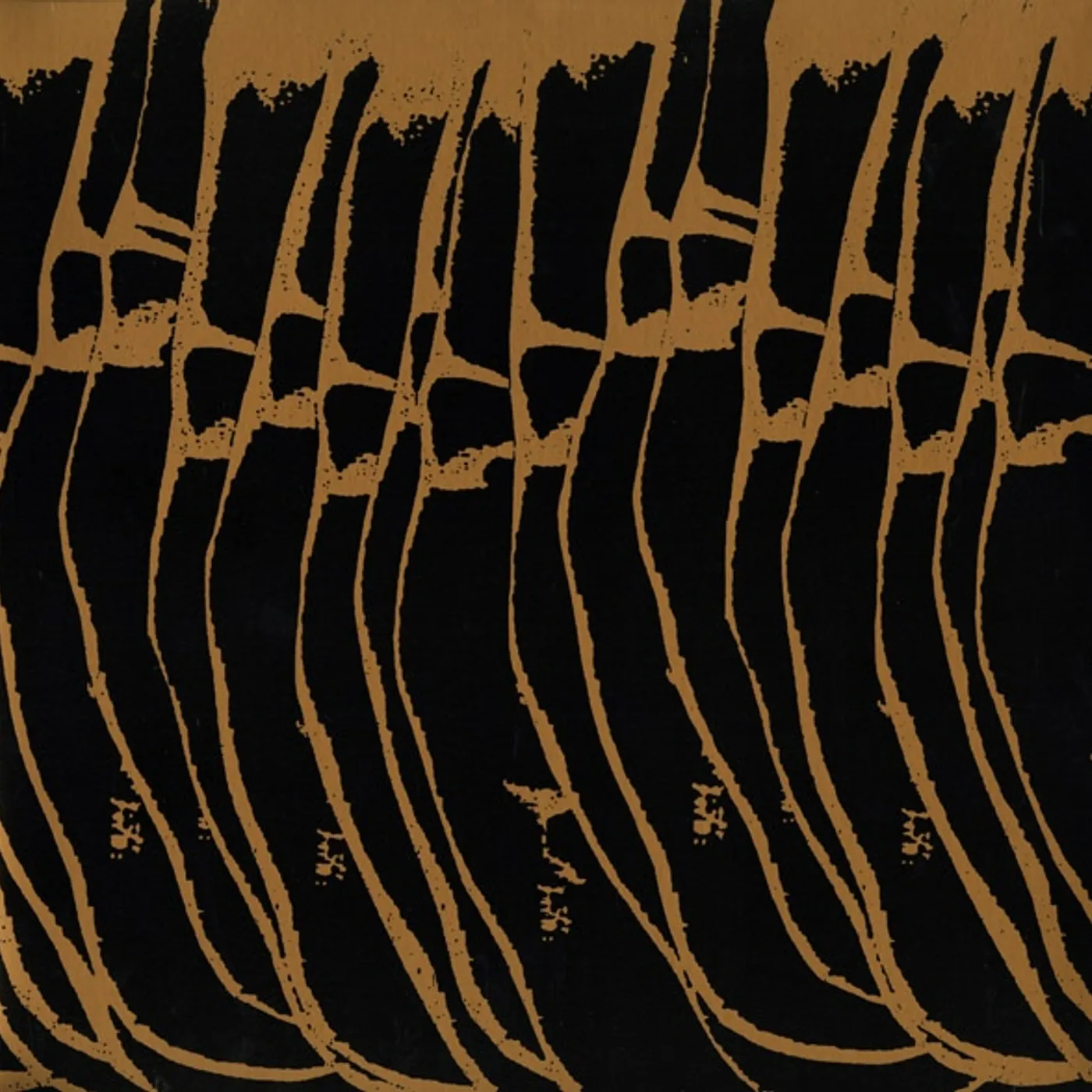 Charalambides Joy Shapes Vinyl Record