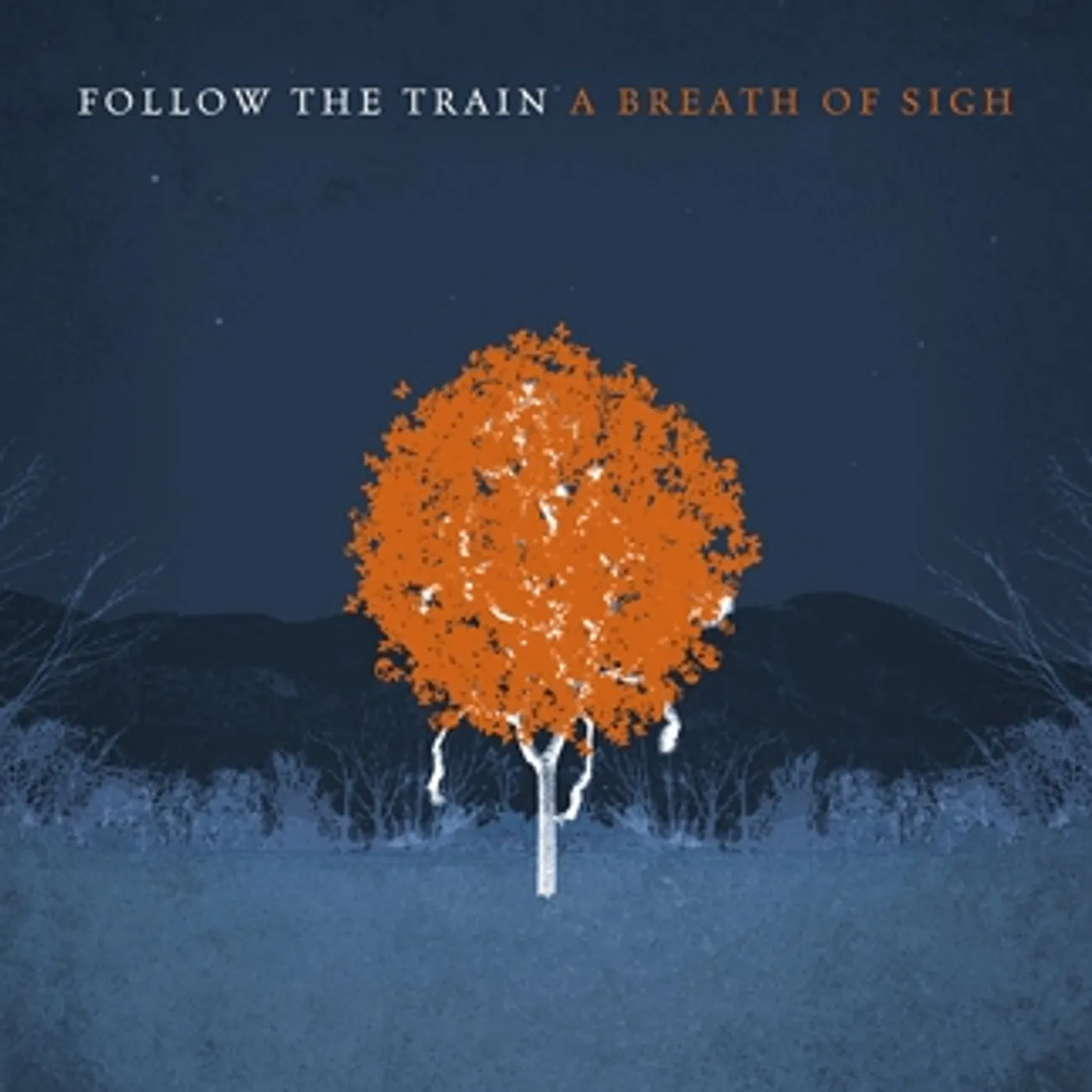 Follow The Train BREATH OF SIGH CD