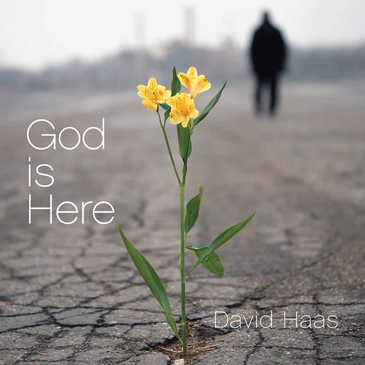 David Haas GOD IS HERE CD