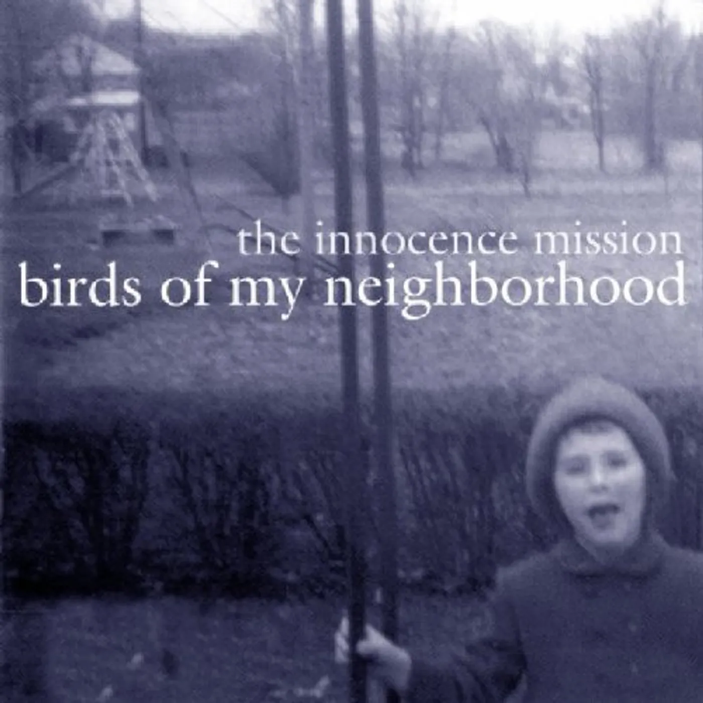 The Innocence Mission BIRDS OF MY NEIGHBORHOOD CD