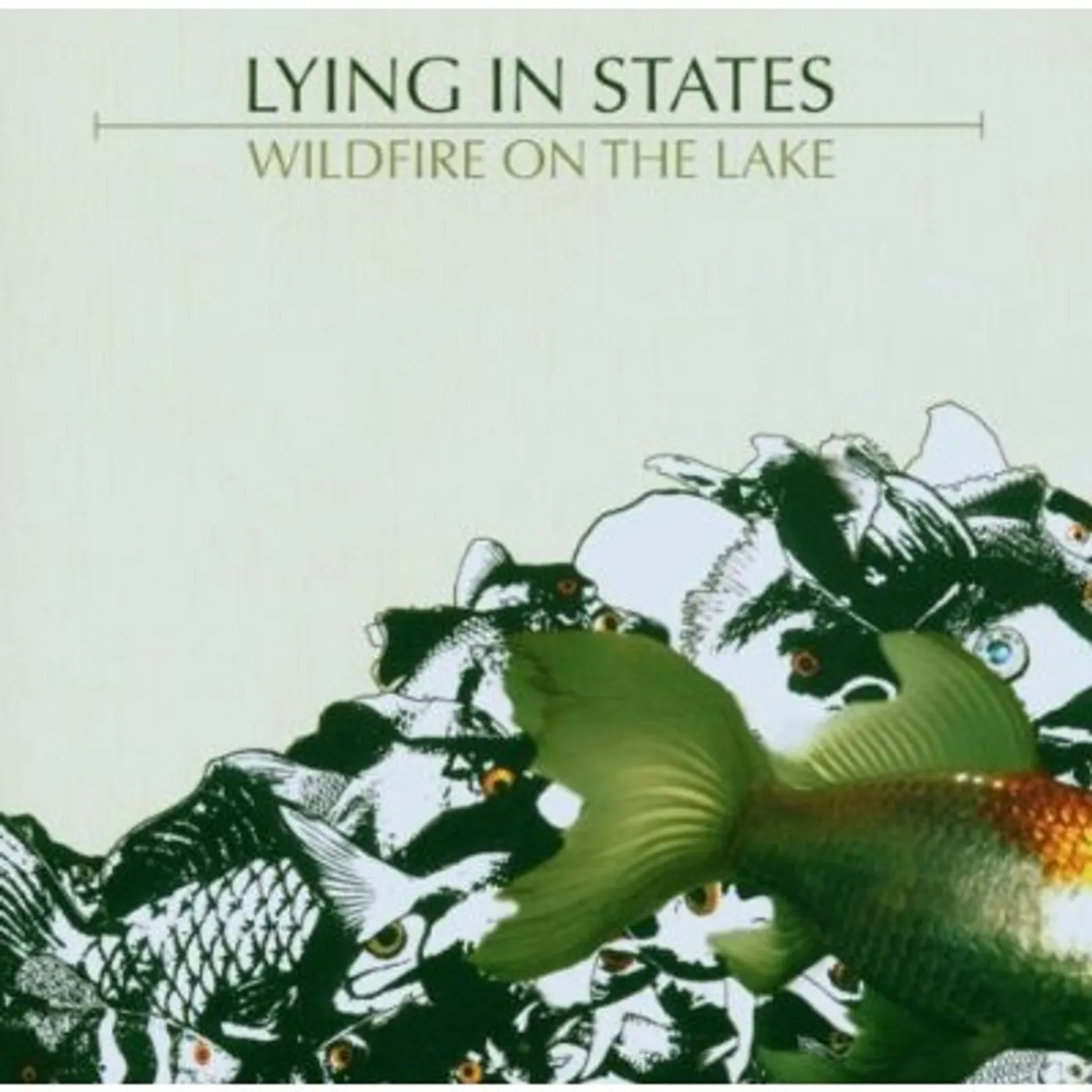 Lying In States WILDFIRE ON THE LAKE CD