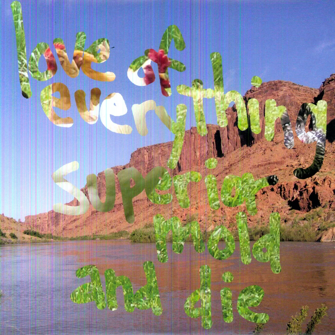 Love of Everything SUPERIOR MOLD & DIE (Vinyl)