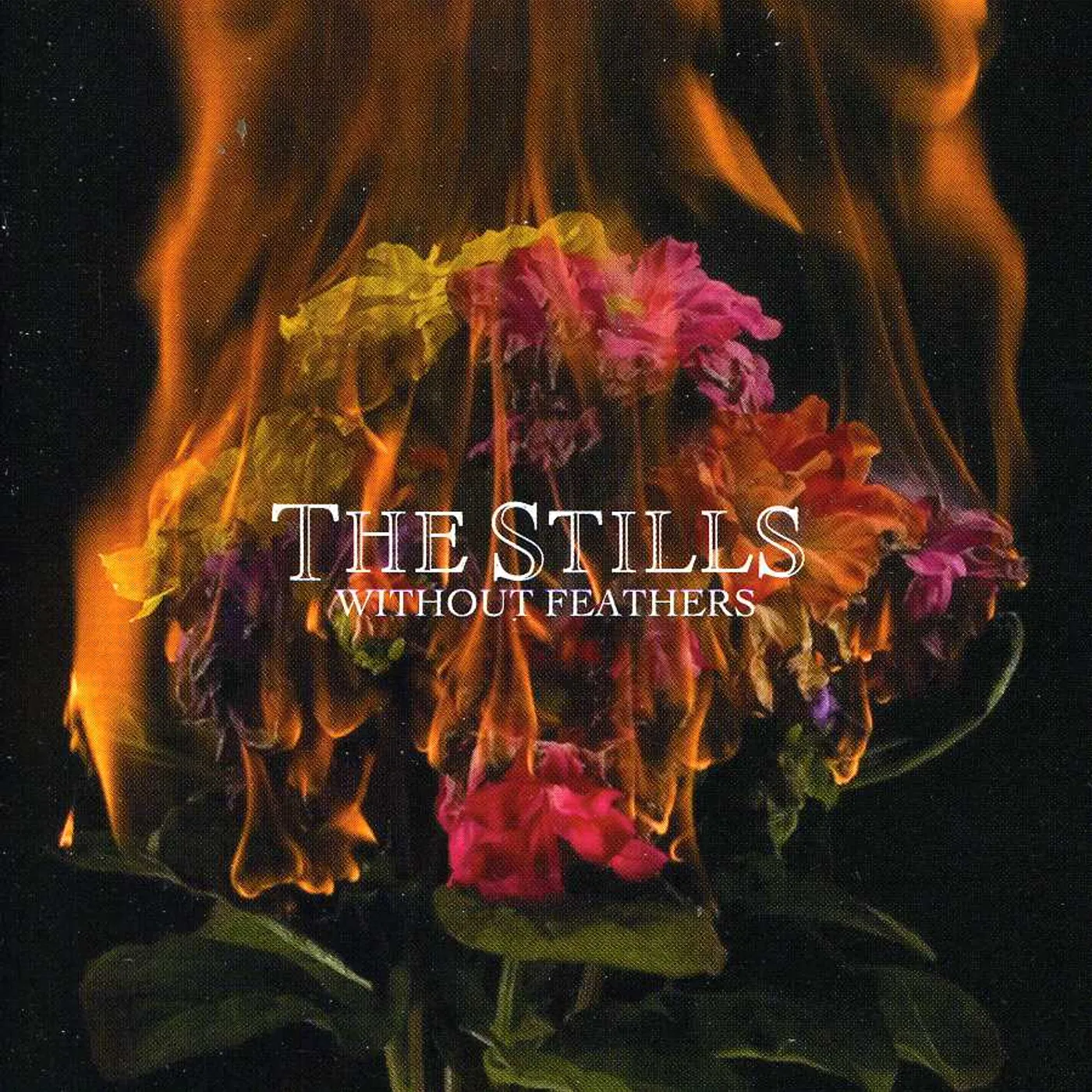 Stills WITHOUT FEATHERS CD