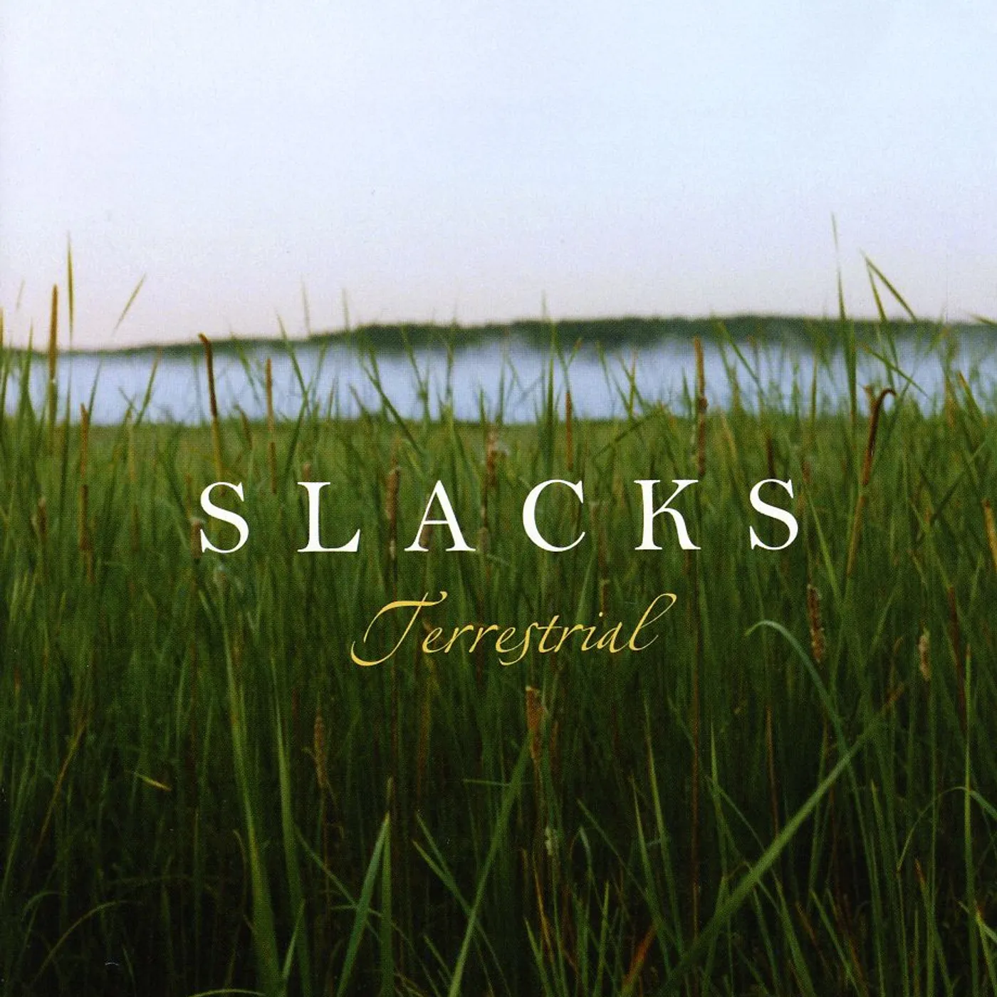 Slacks TERRESTRIAL CD